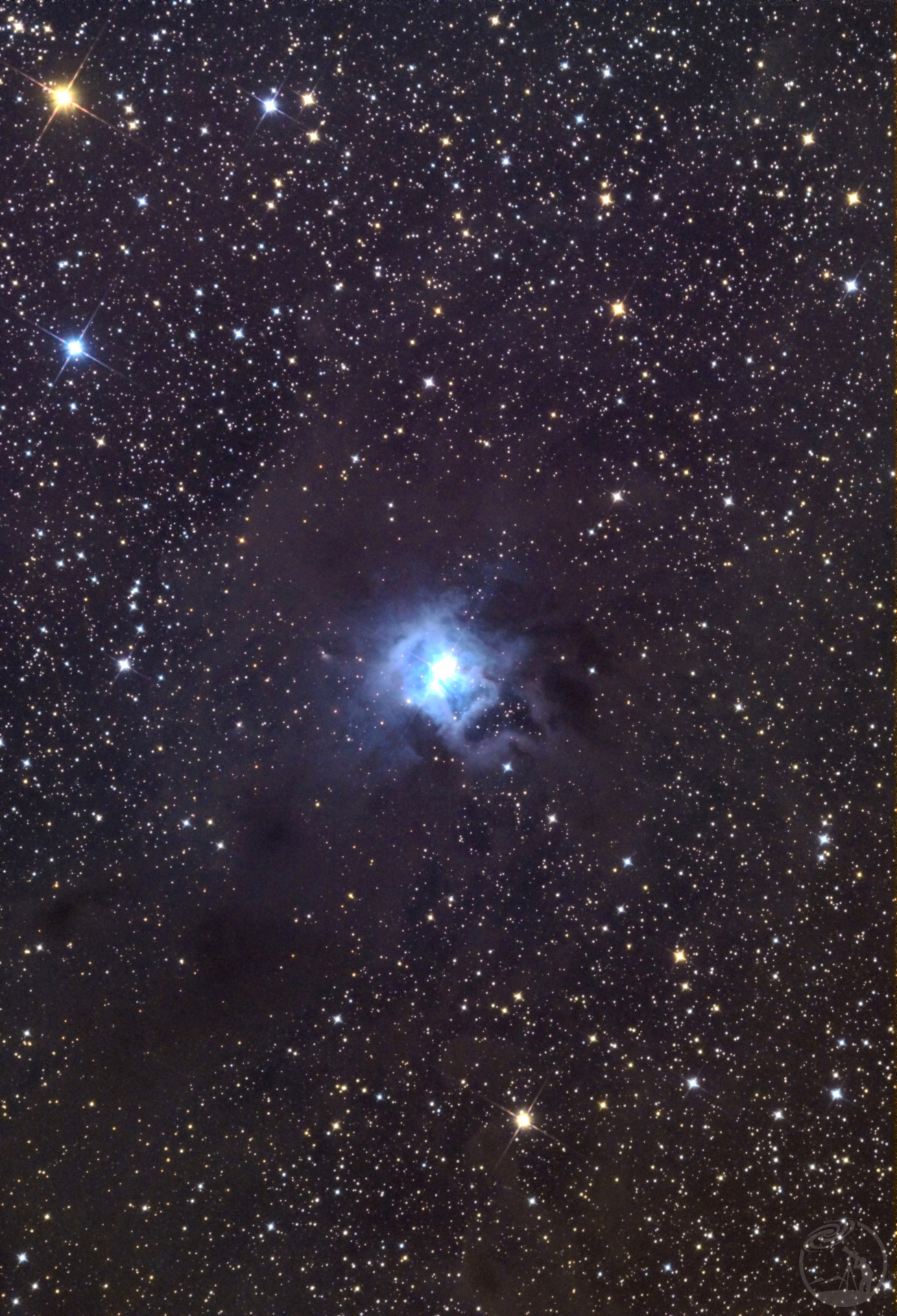 鸢尾花ngc7023