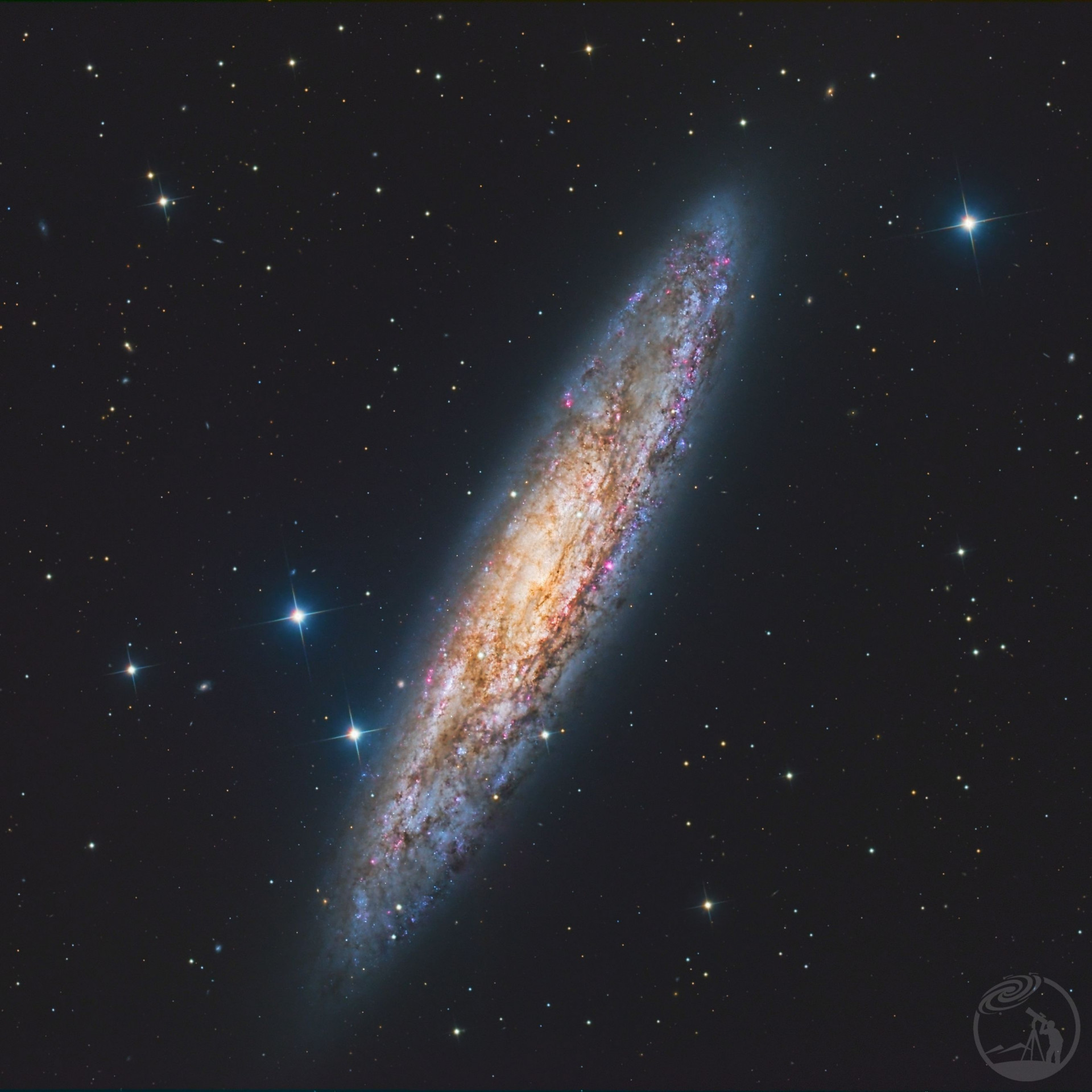 ngc253