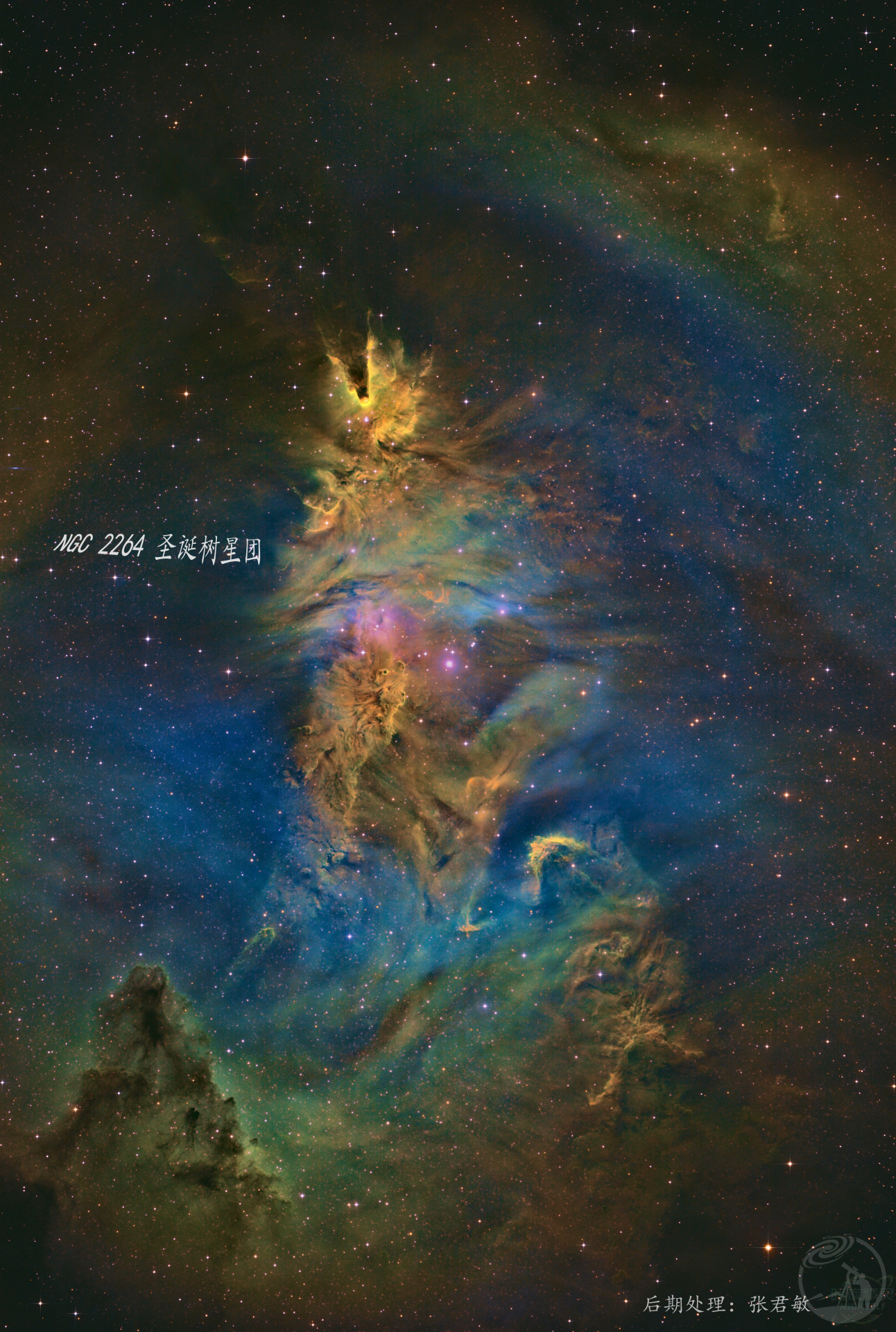 NGC2264 圣诞树星团