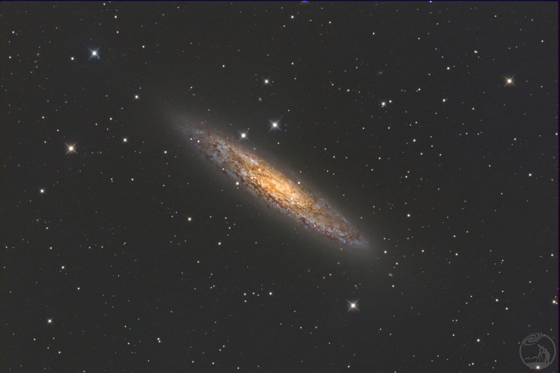 ngc253