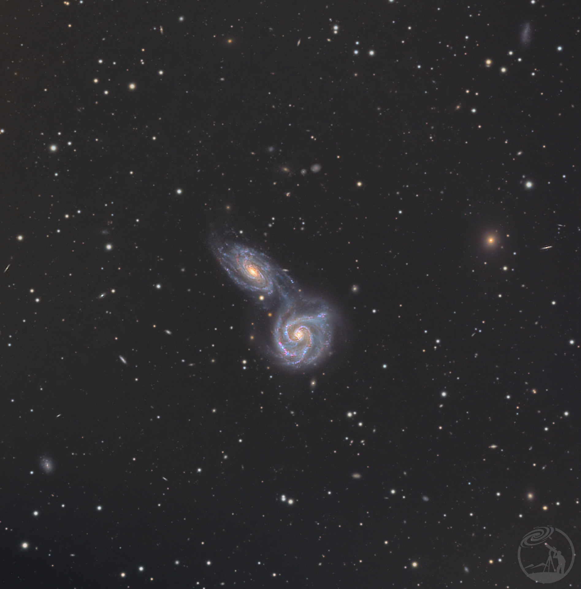 ARP271