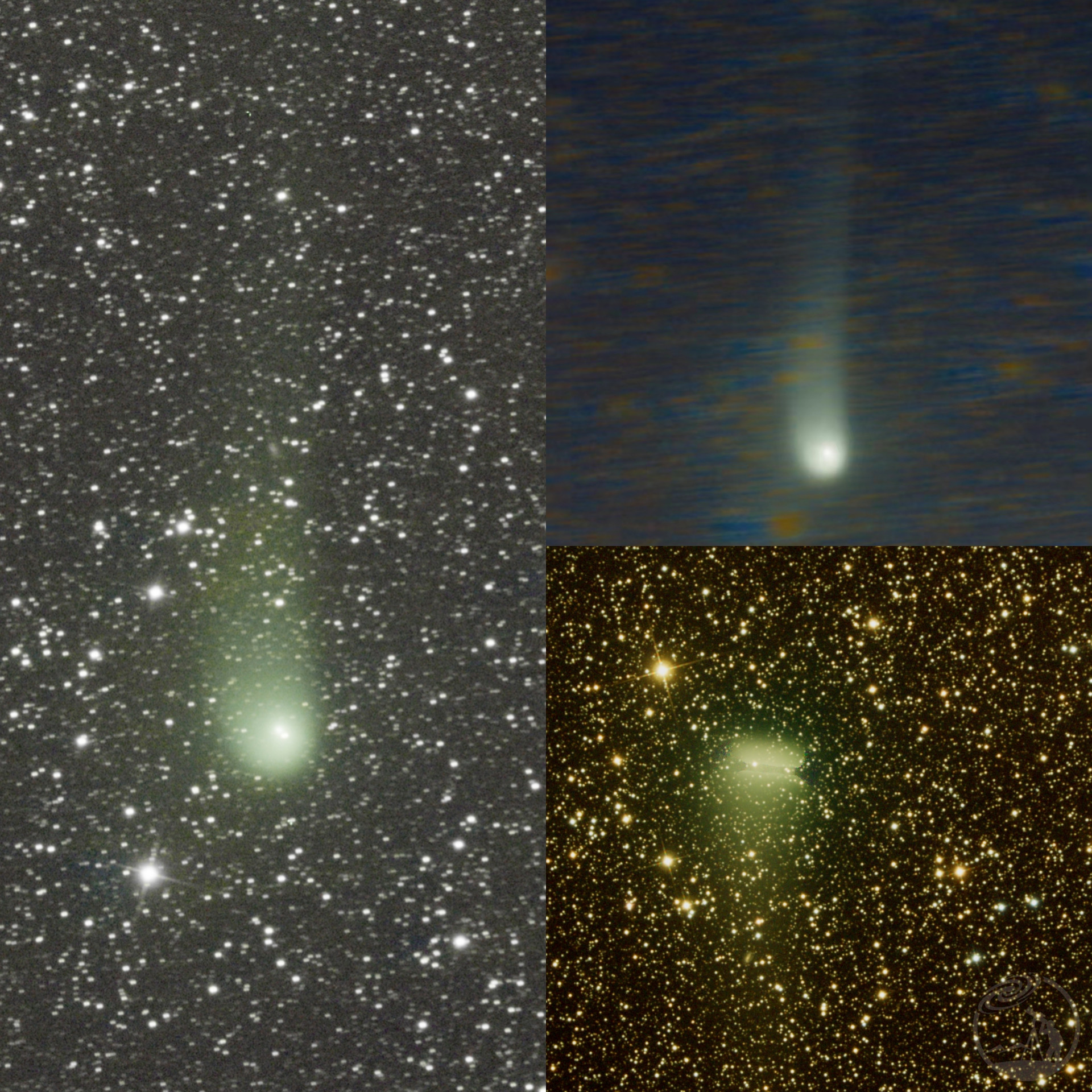 K2彗星(有概率是国内首张清晰展现k2彗尾)