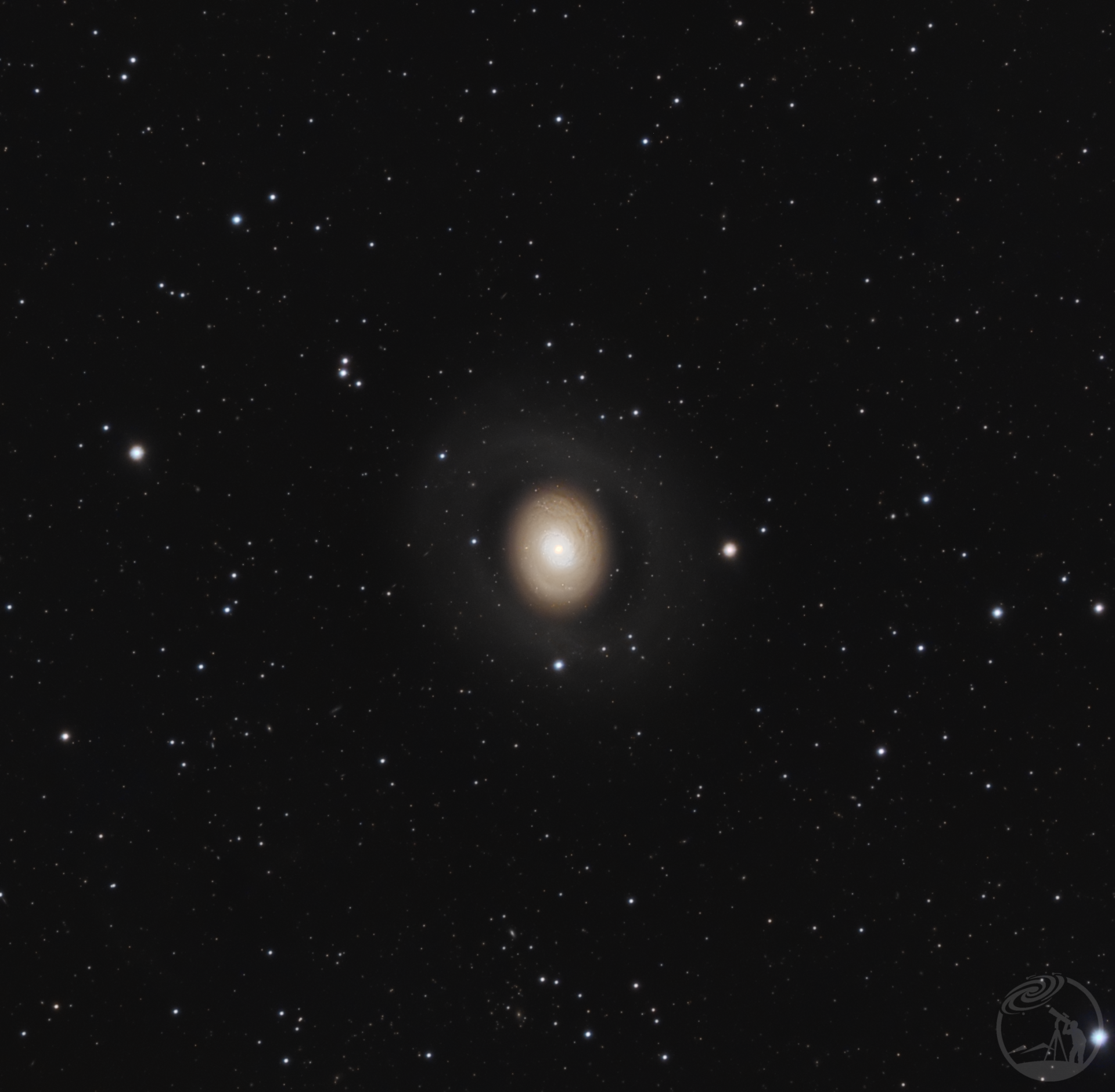 M94（老鳄鱼眼）