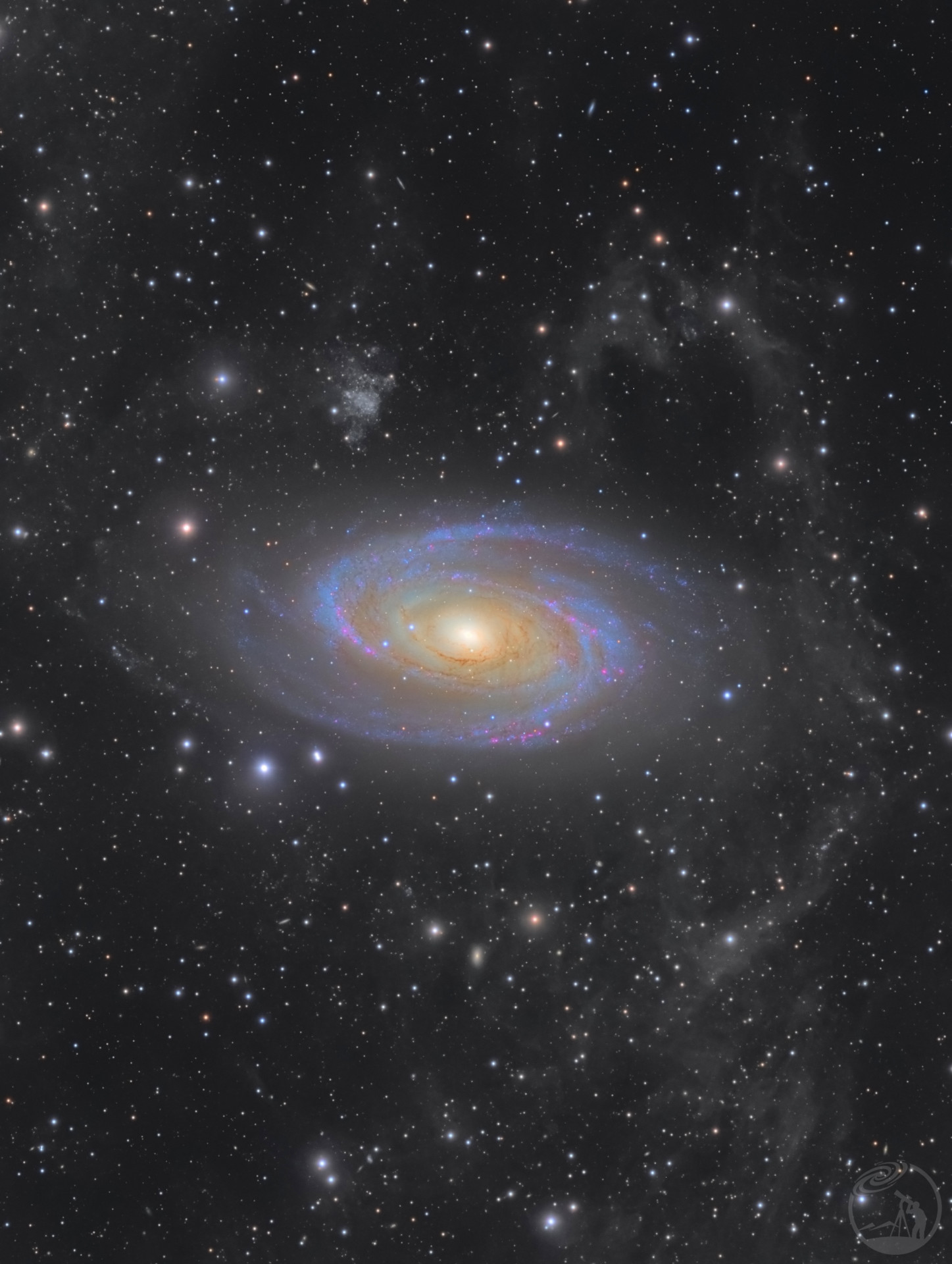 M81