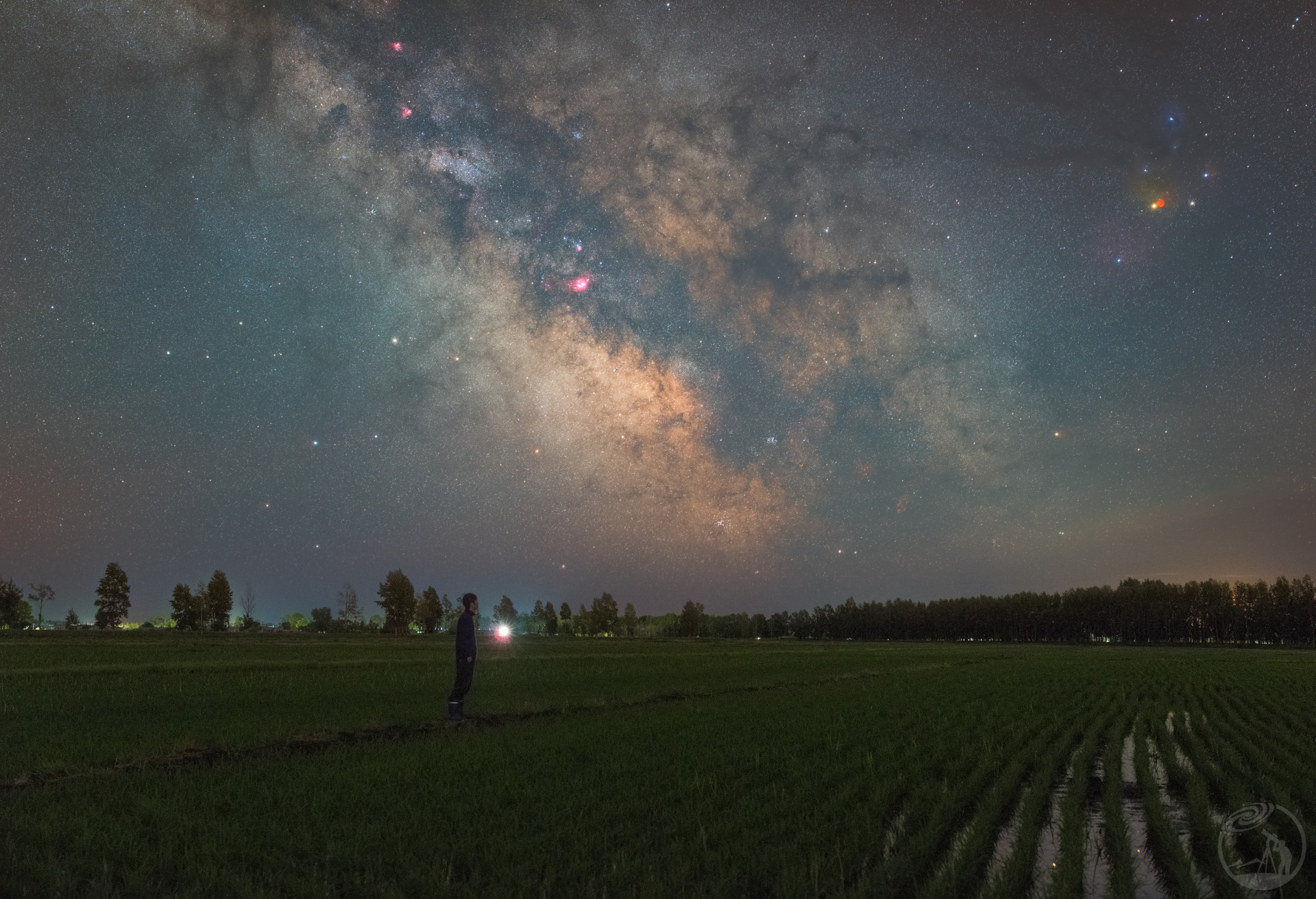 稻田星空