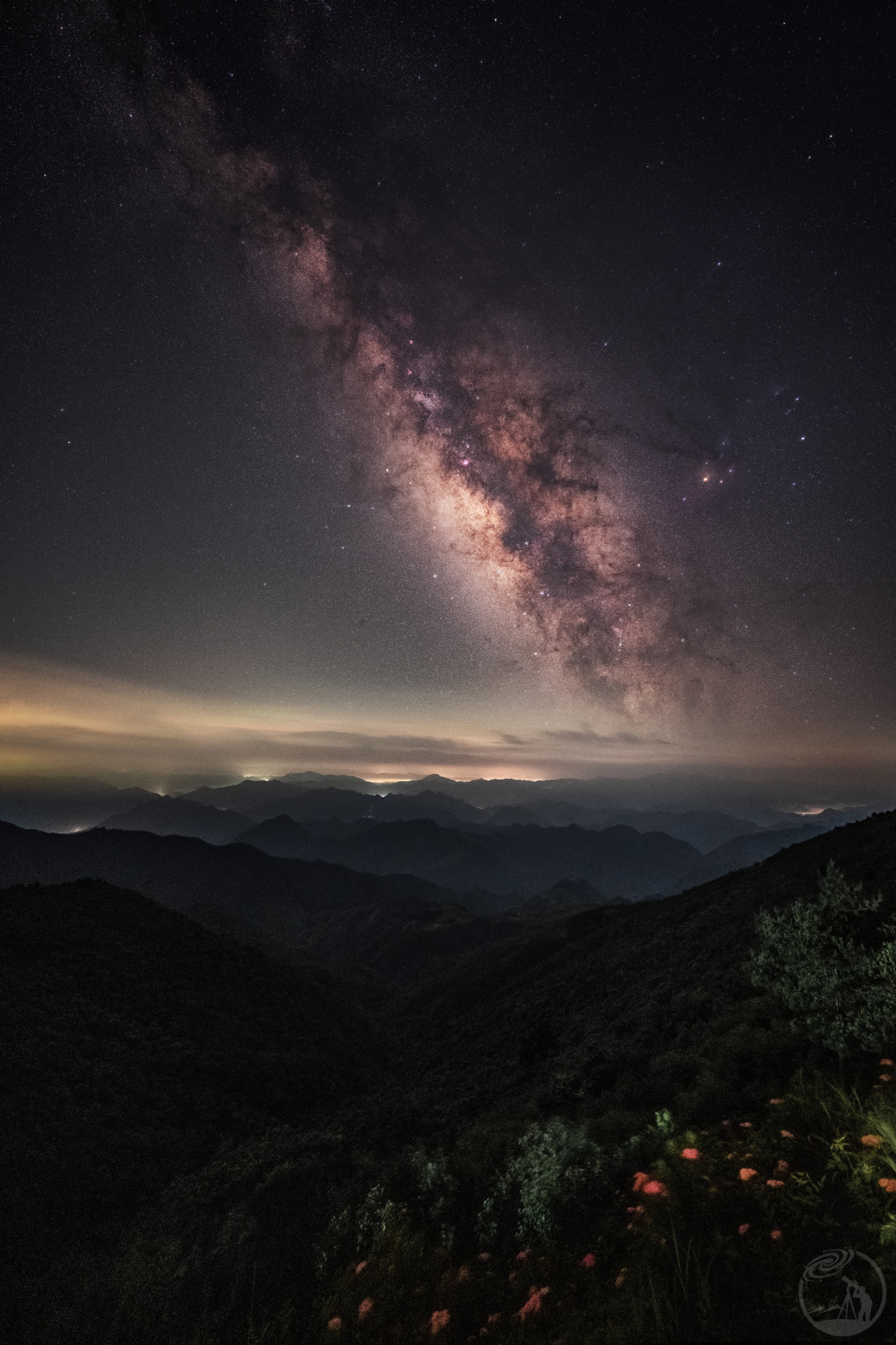 野花星空