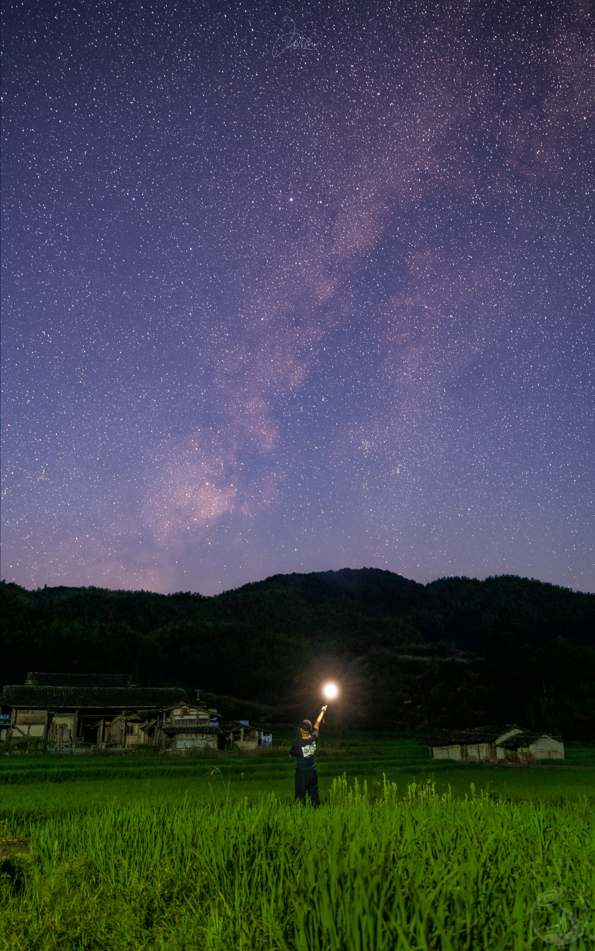 稻花香里说丰年