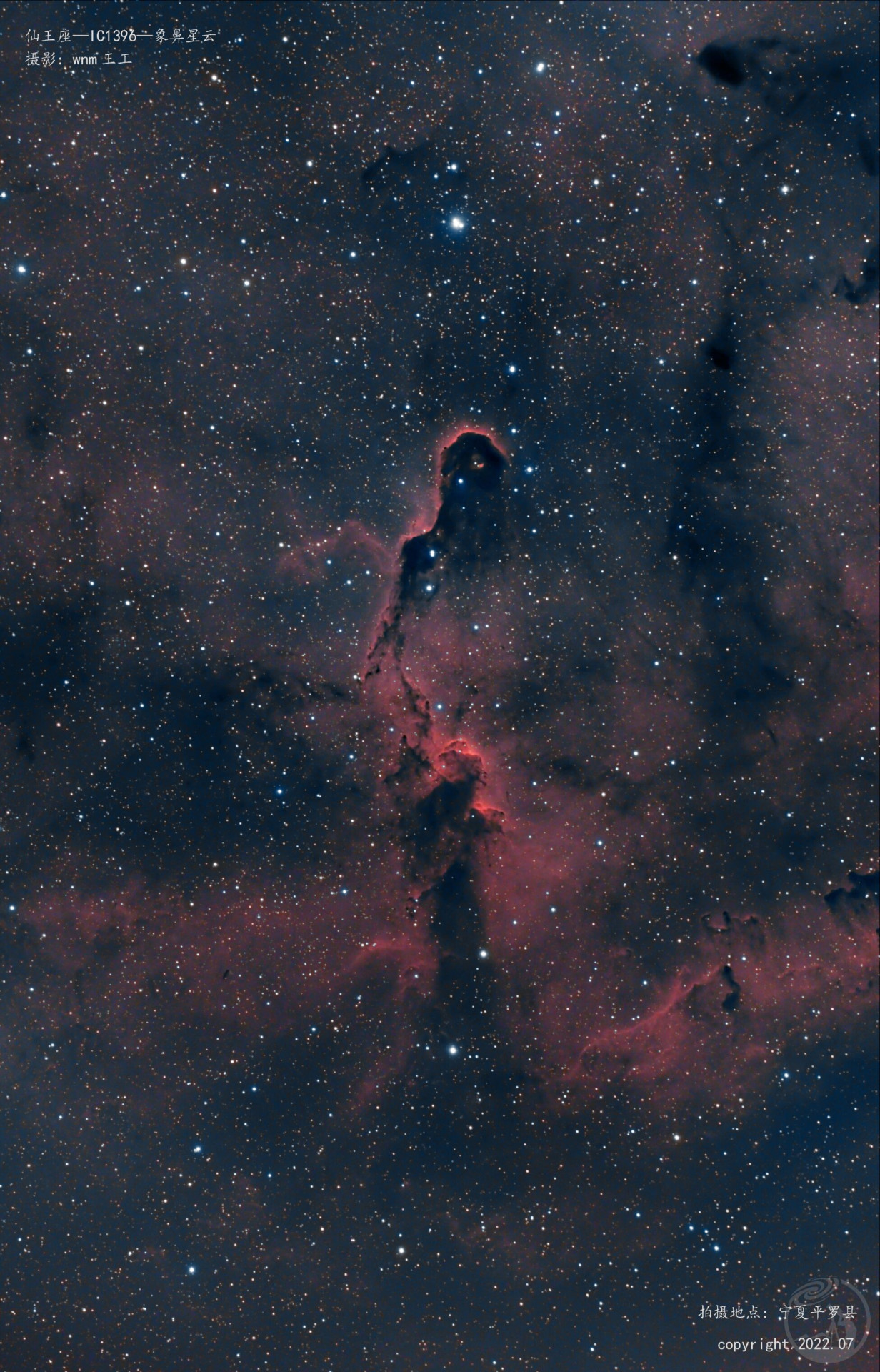 IC1396_象鼻星云