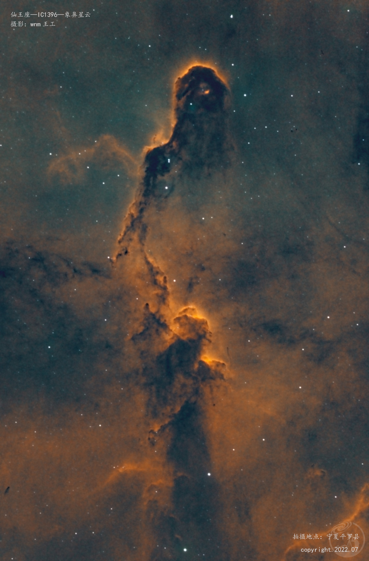 IC1396_象鼻星云