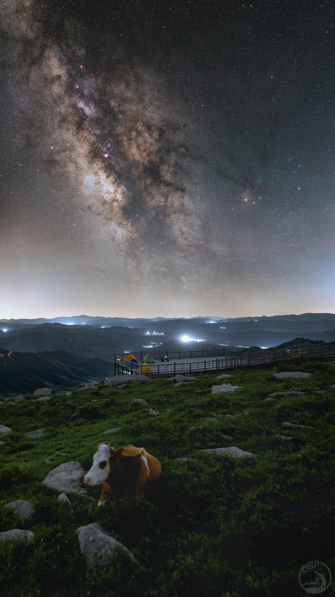 酷热半夏寻星辰