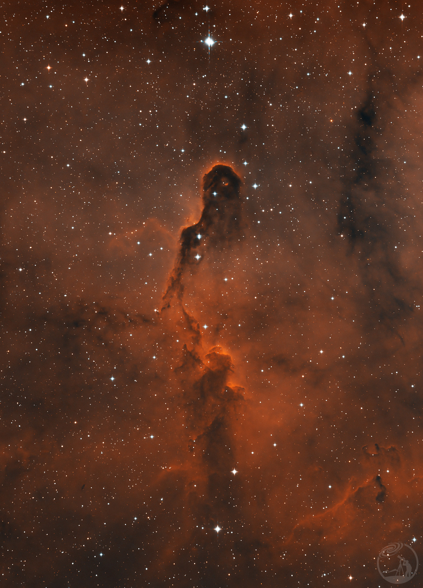 IC1396 象鼻星云