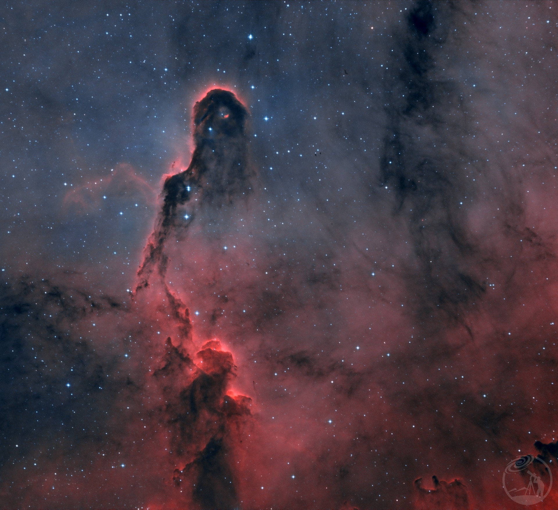 象鼻星云