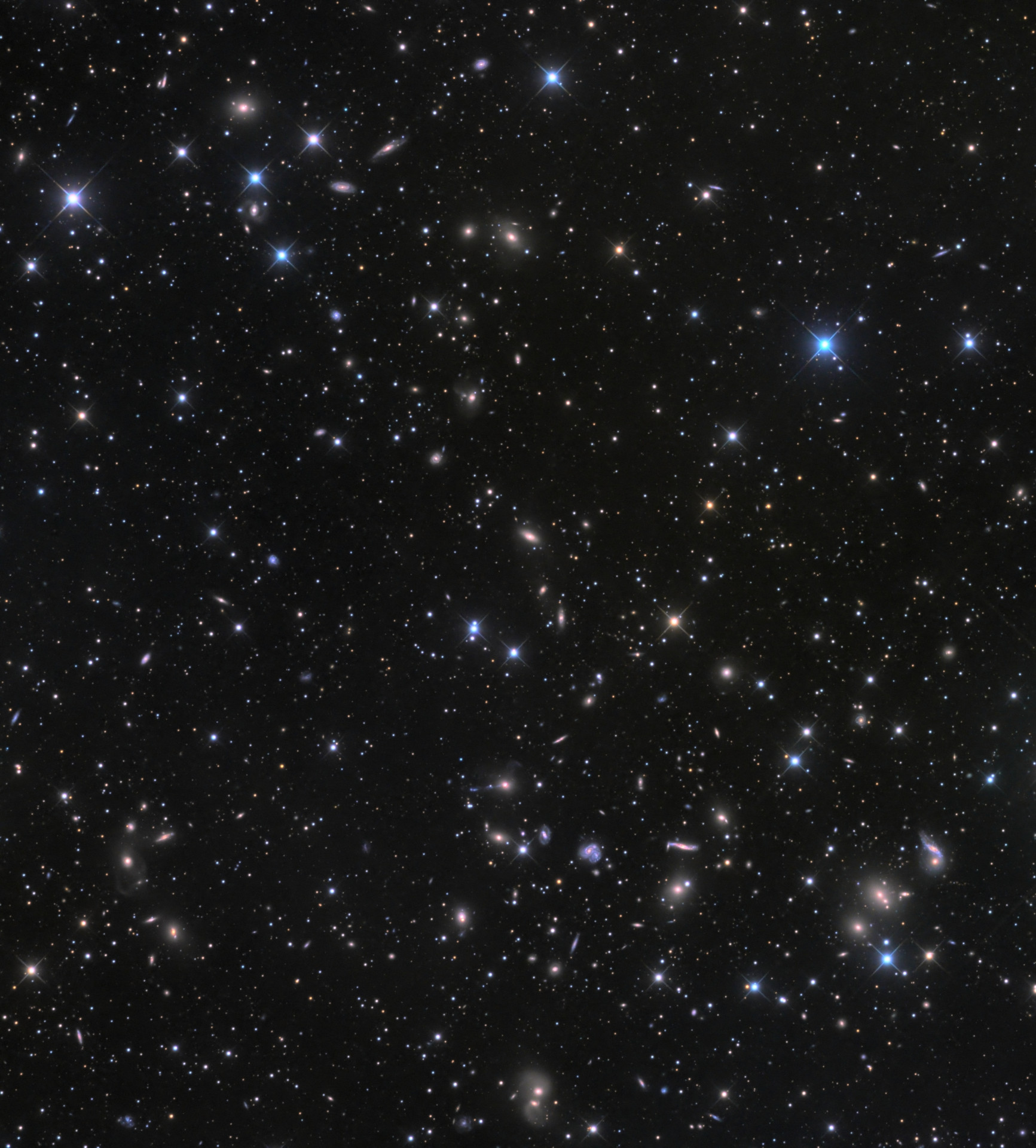 武仙座星系群
