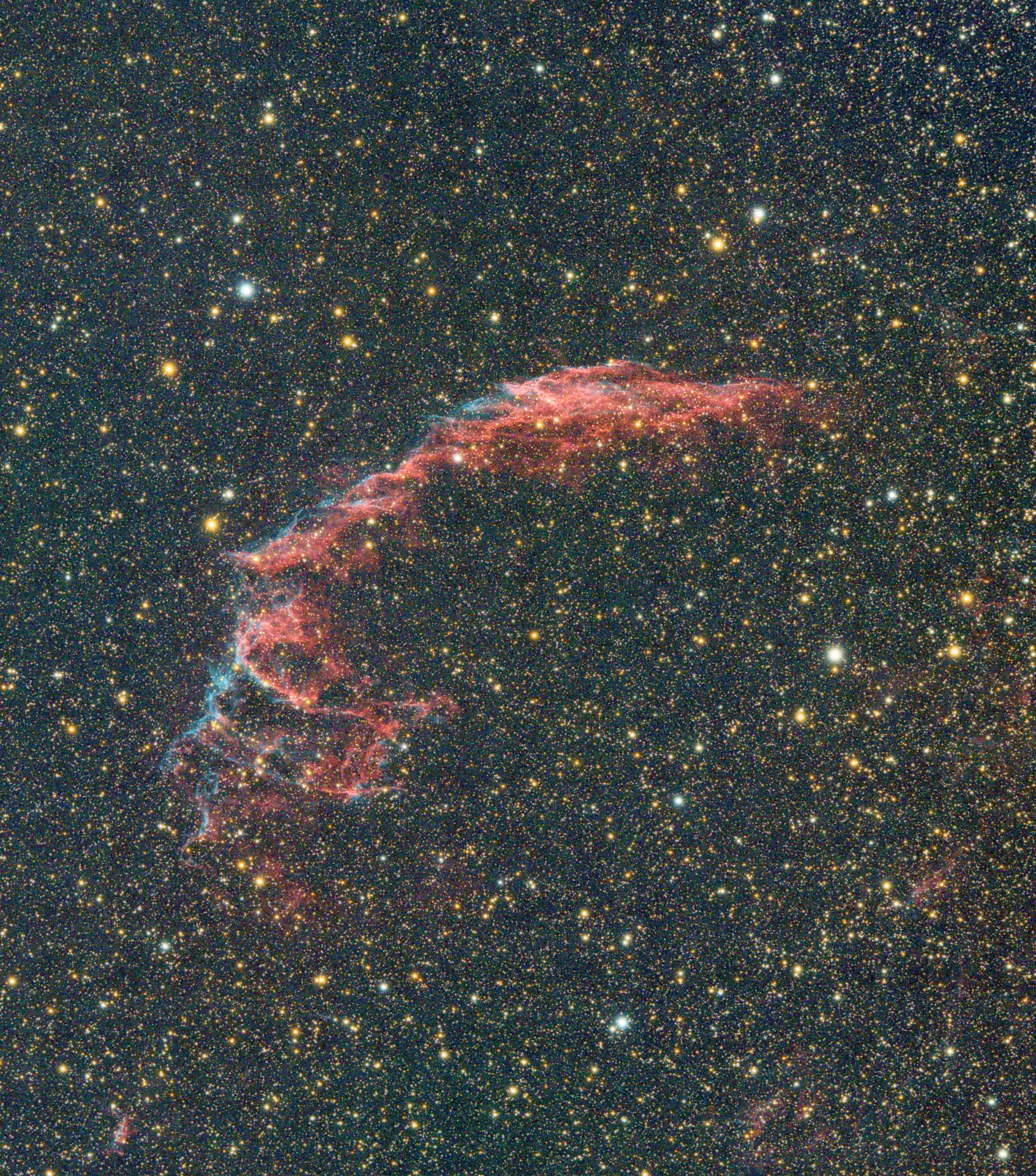 面纱，感觉还不如去年拍的