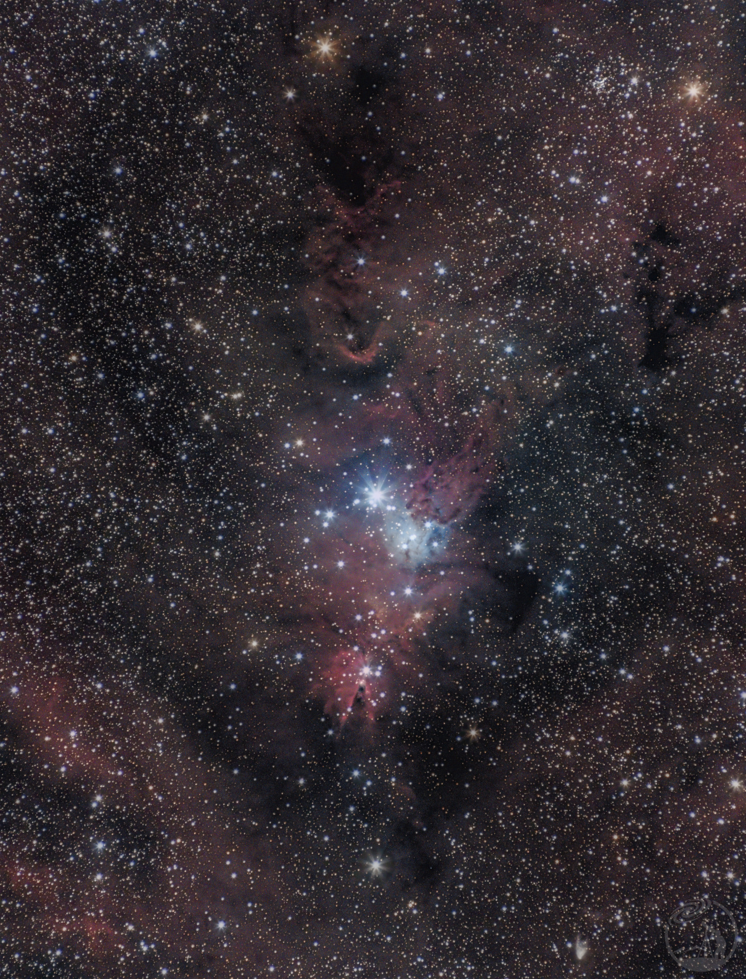 ngc2264