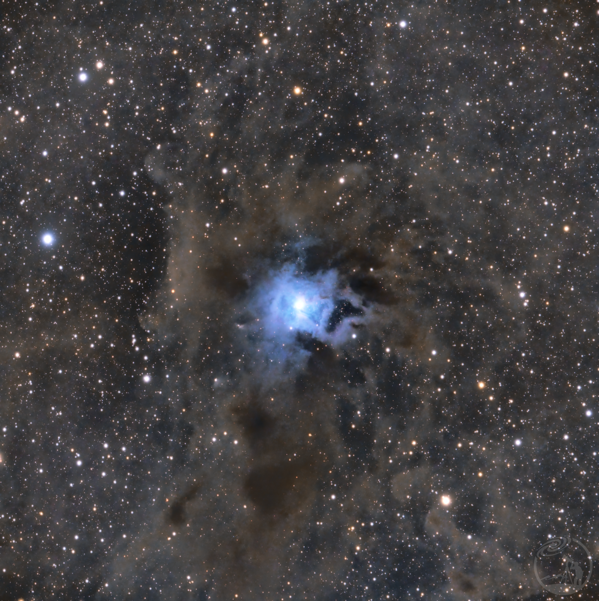 ngc7023鸢尾花星云