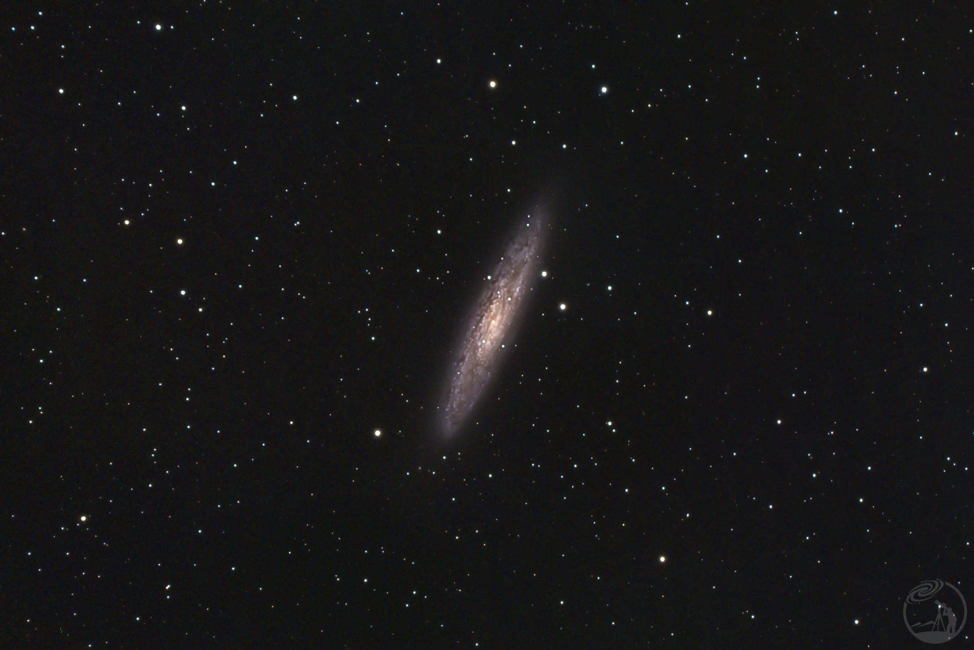 NGC253