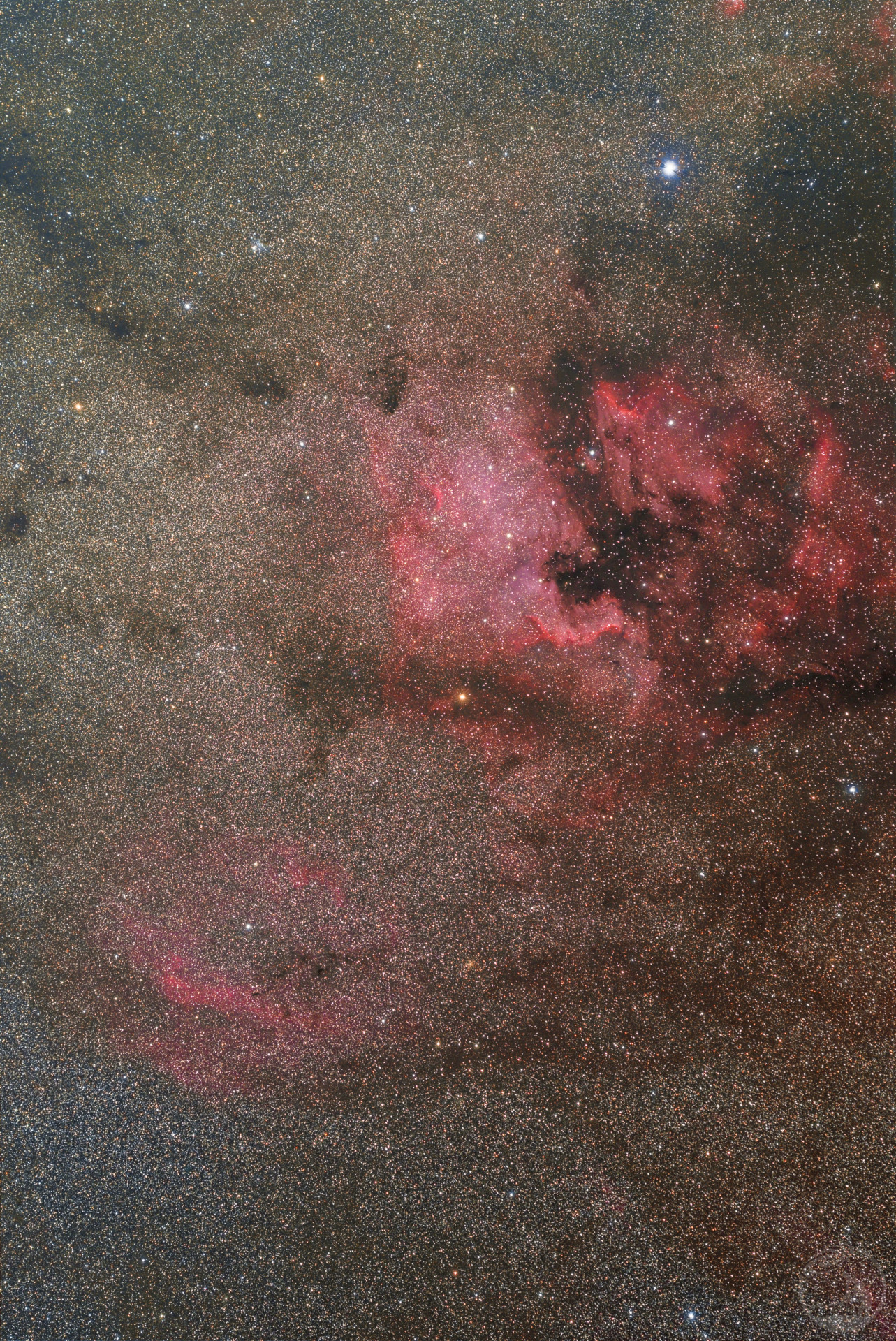 NGC7000北美洲星云以及周边广域
