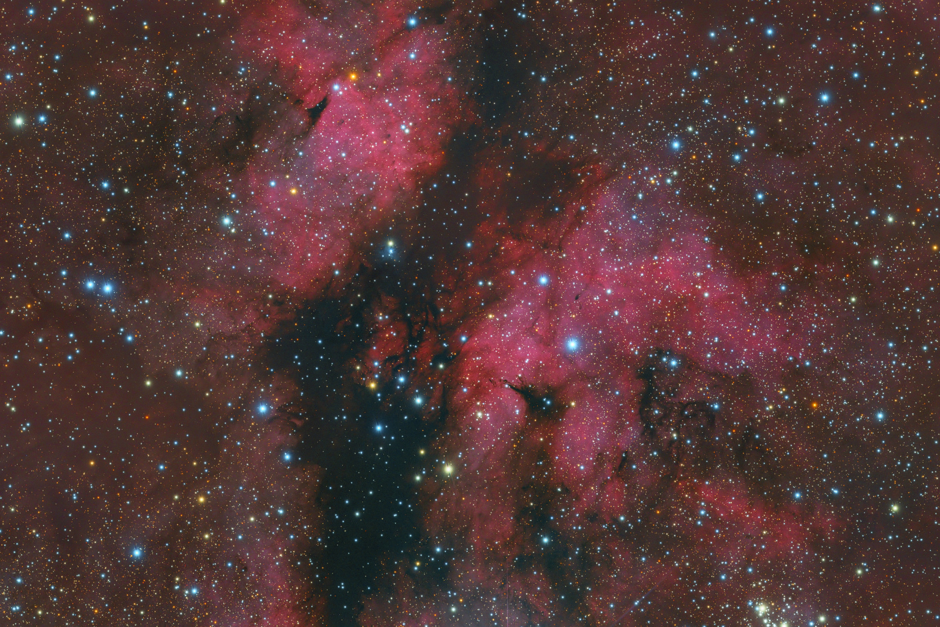 ic1318 蝴蝶星云