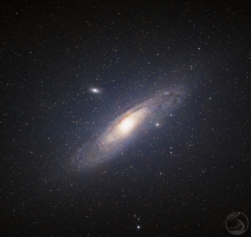 M31