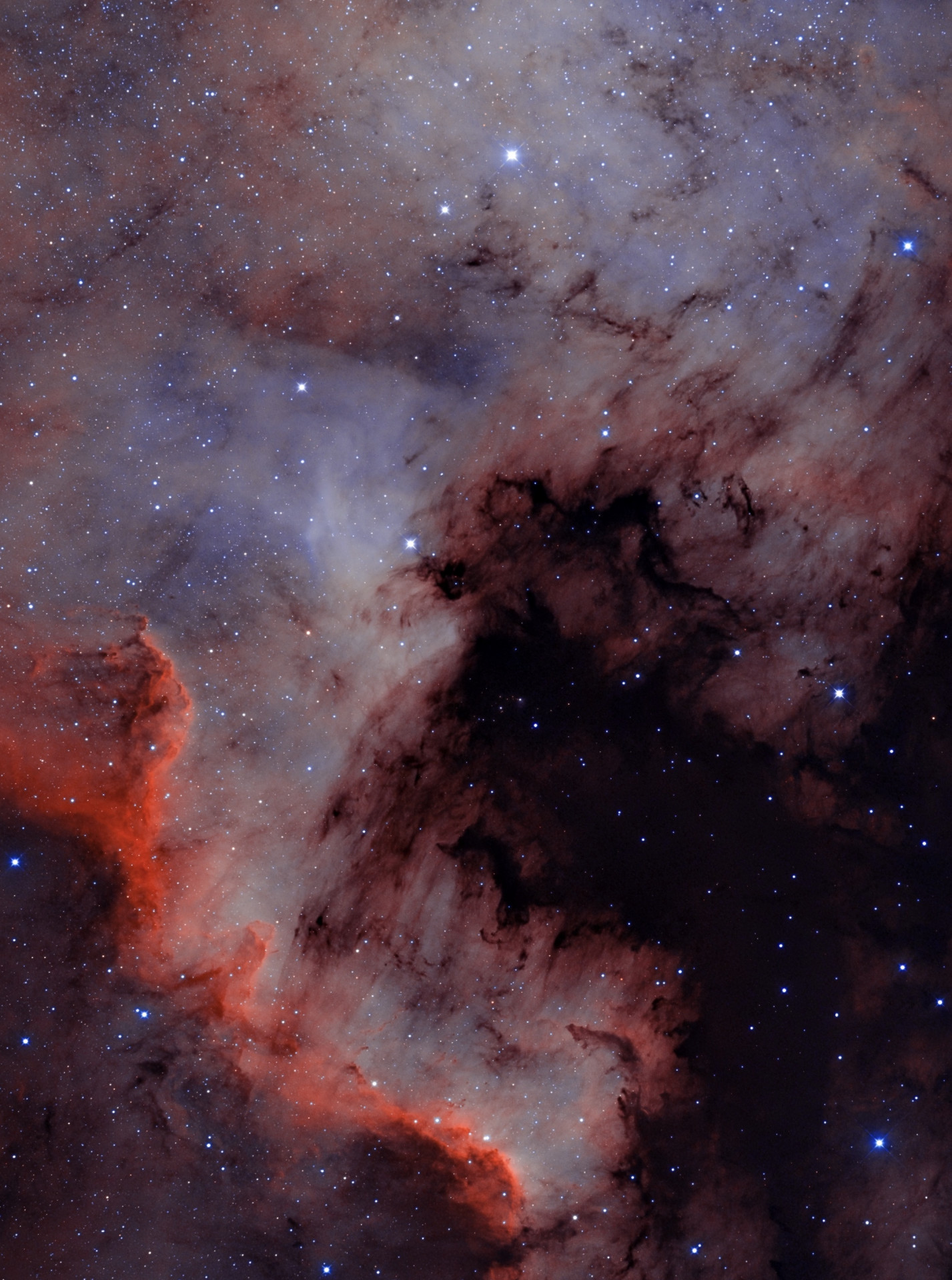 NGC7000局部