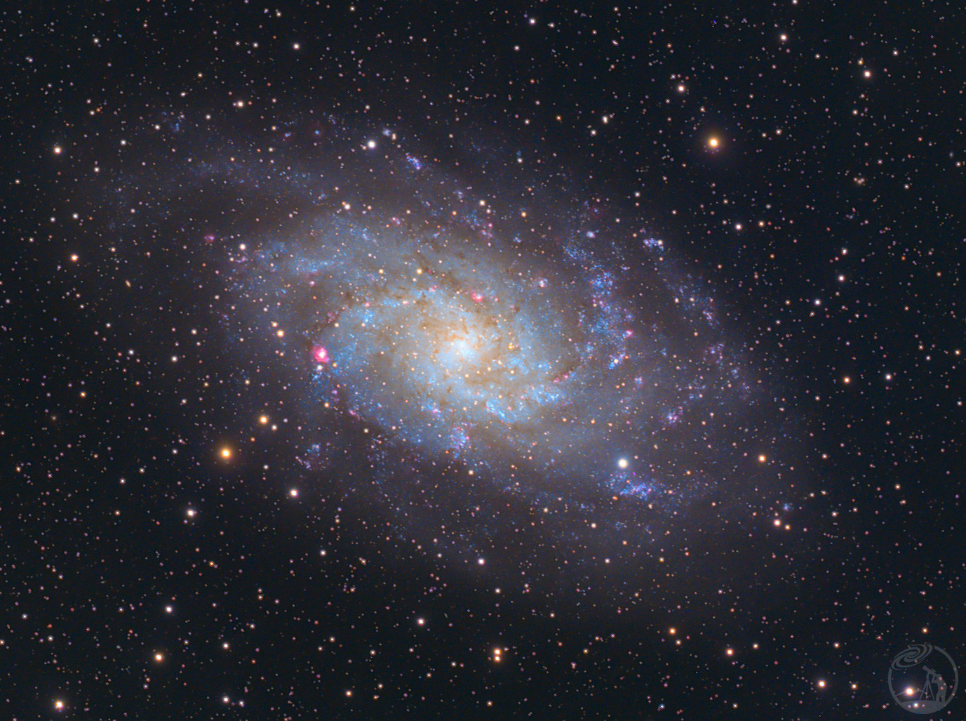 M33