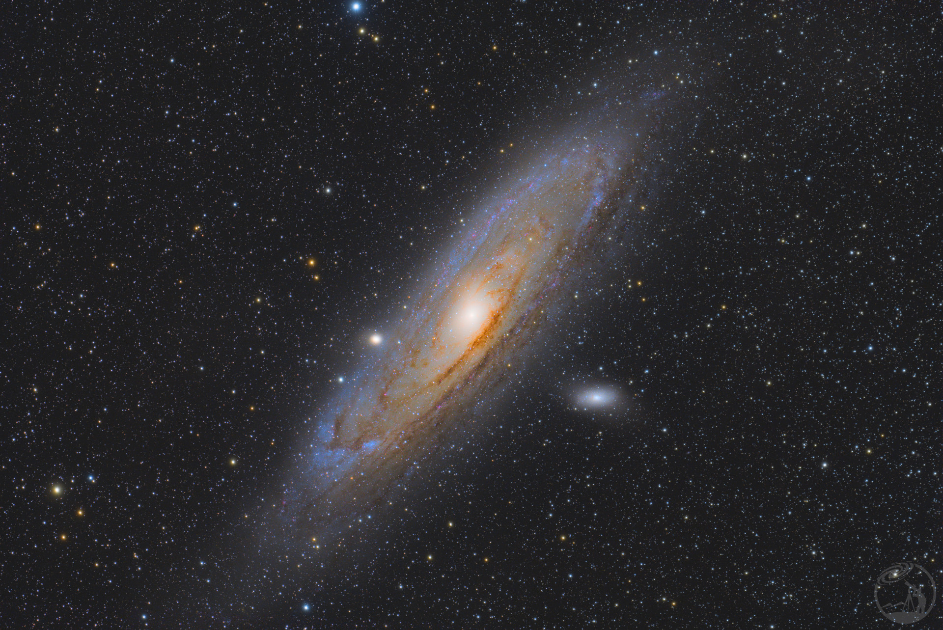 M31
