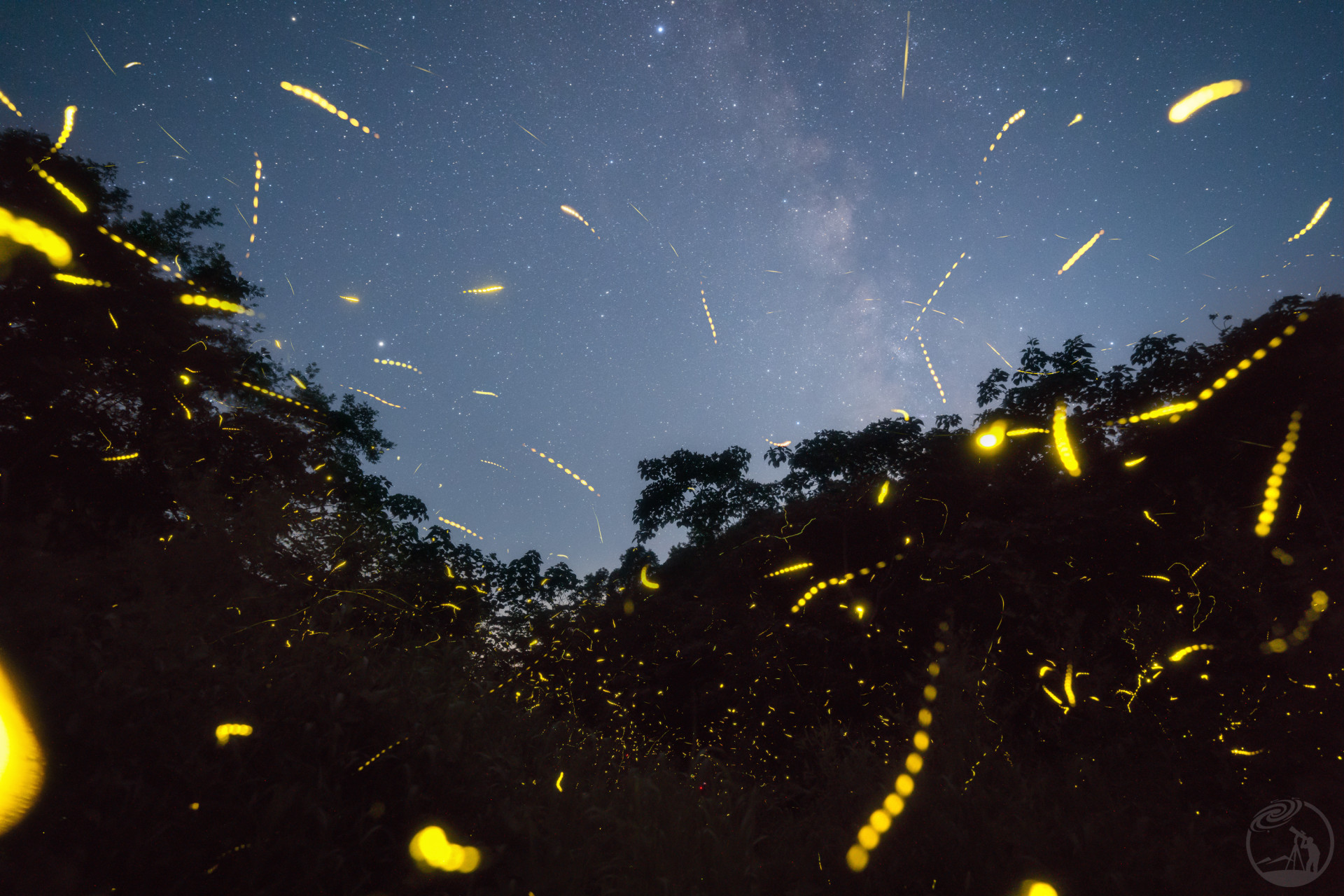 繁星与流萤