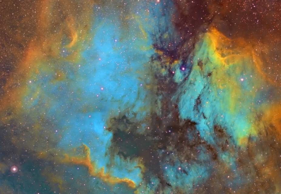 2016年一等奖作品《美洲鹈鹕》