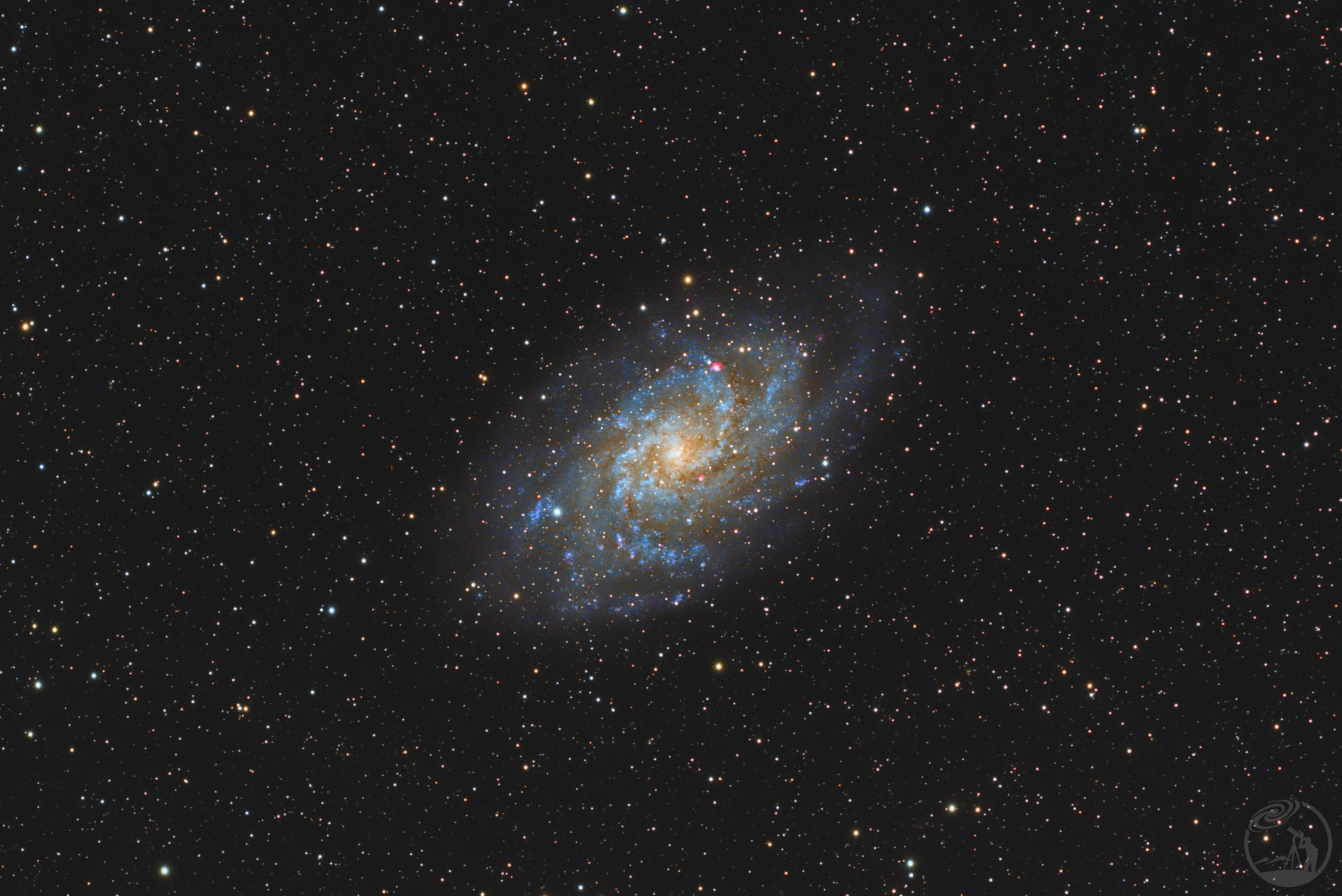 M33