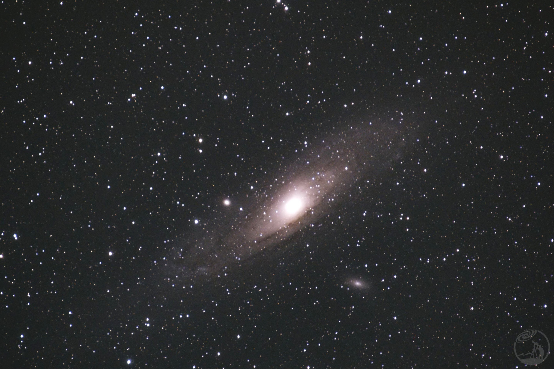 M31