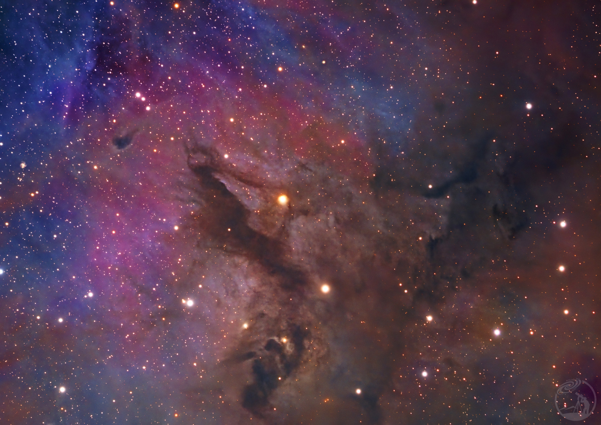 IC 348暗星云