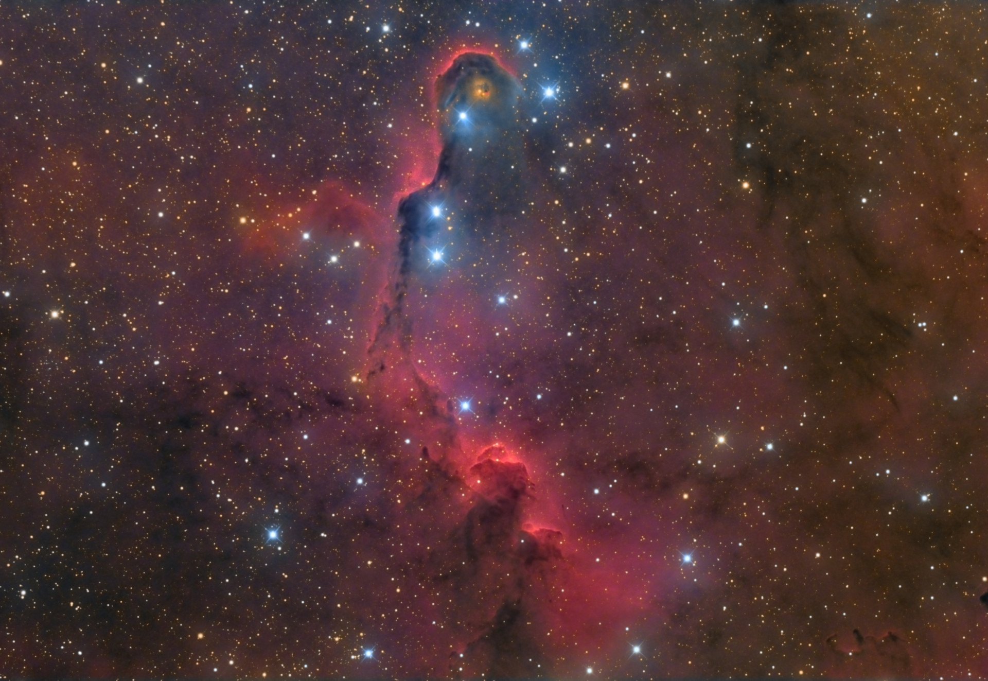 象鼻星云