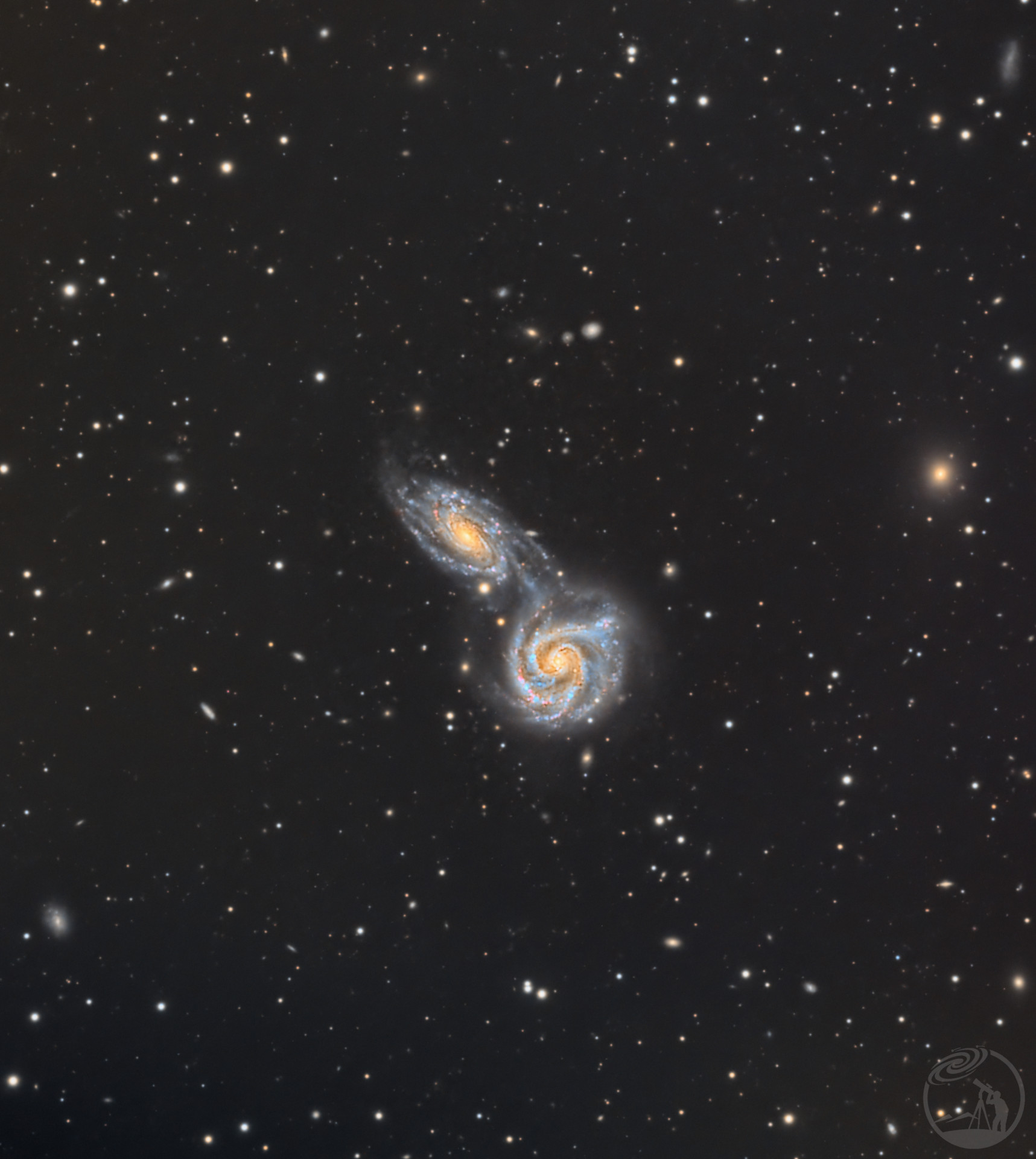 ARP271
