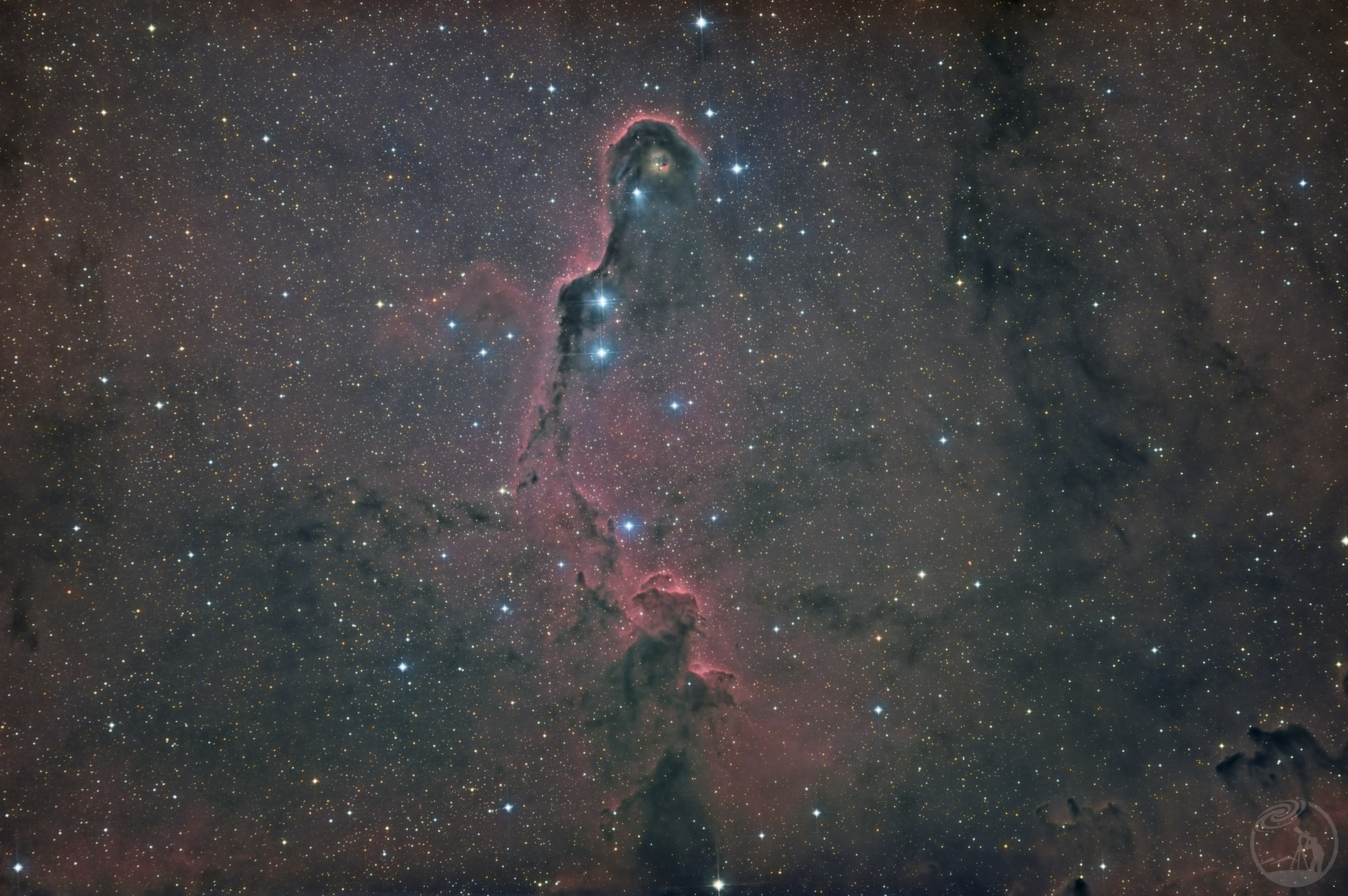 IC1396