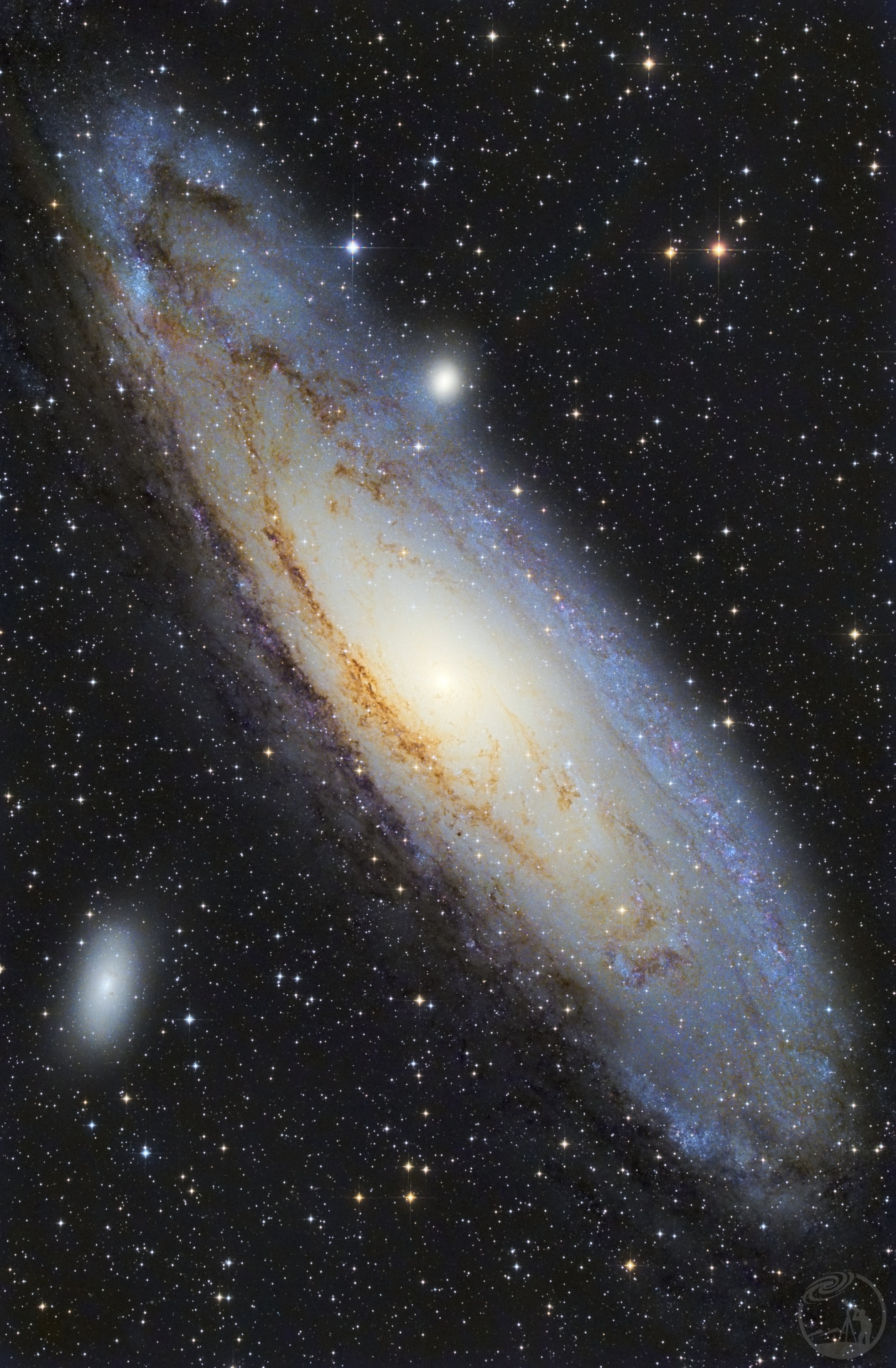 m31