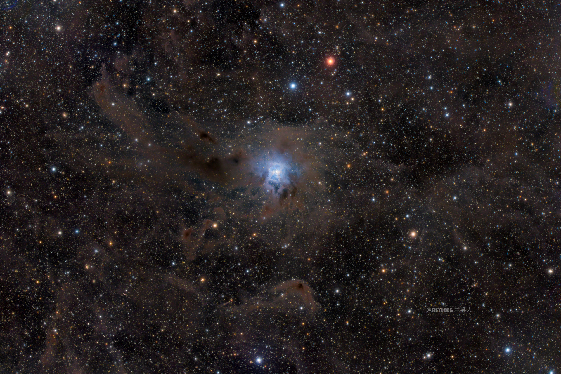 NGC7023鸢尾花星云