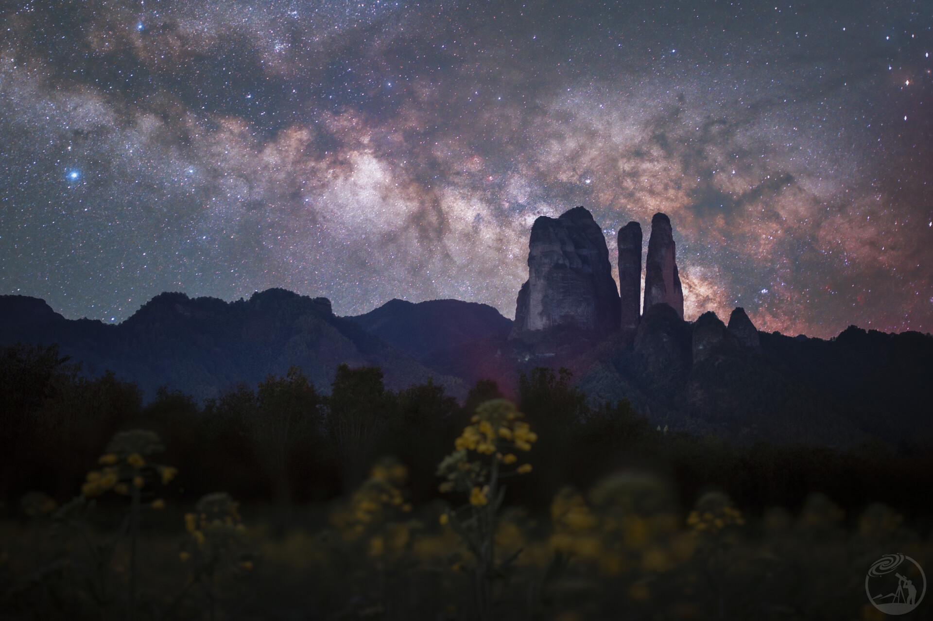 星夜之花