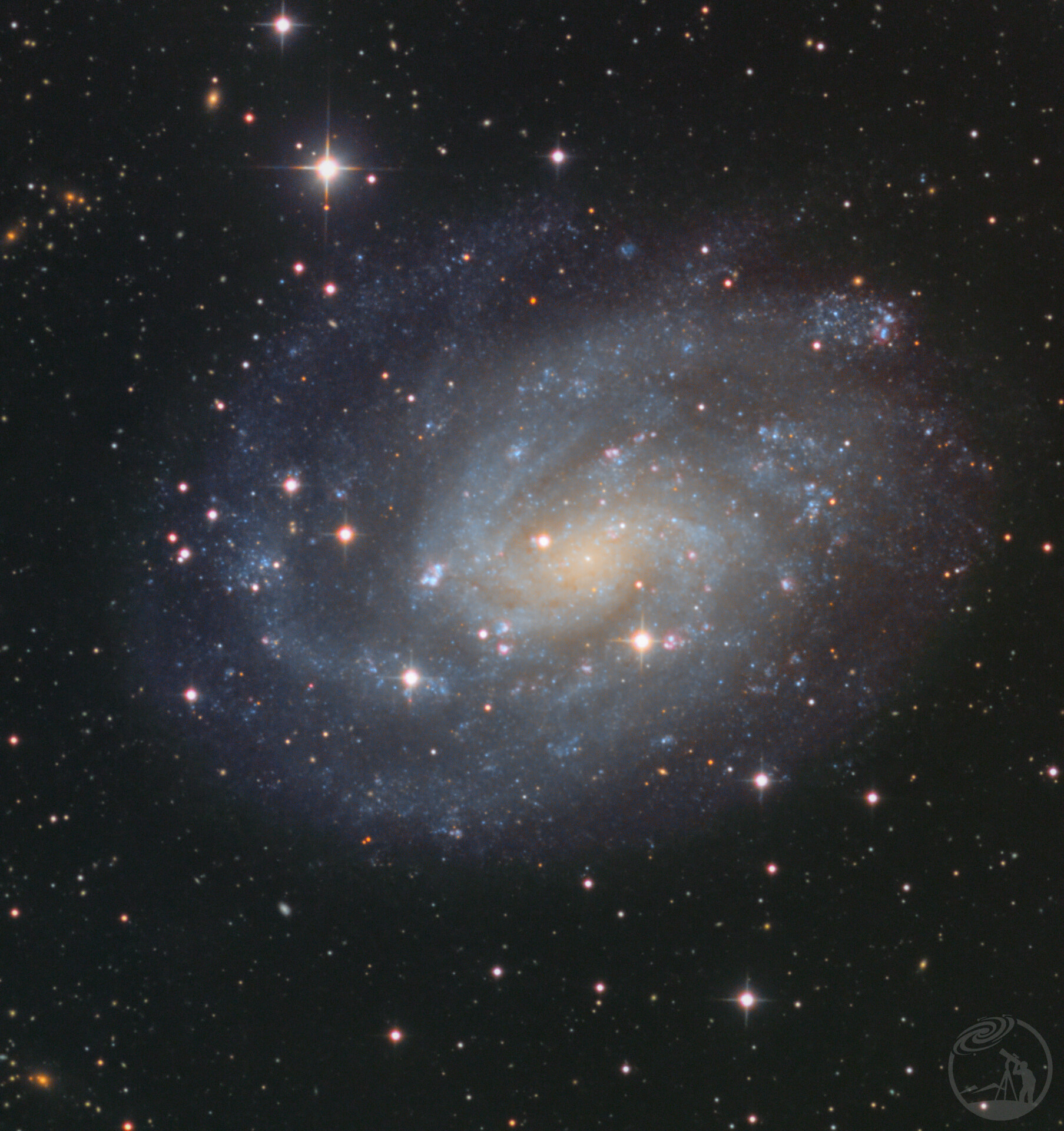 NGC300