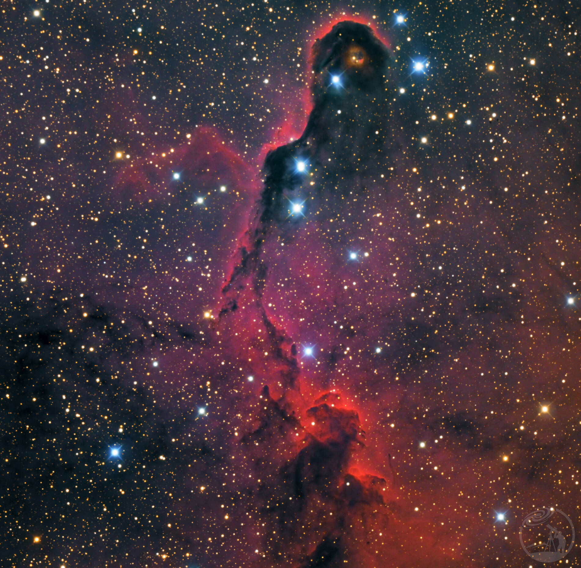 象鼻星云