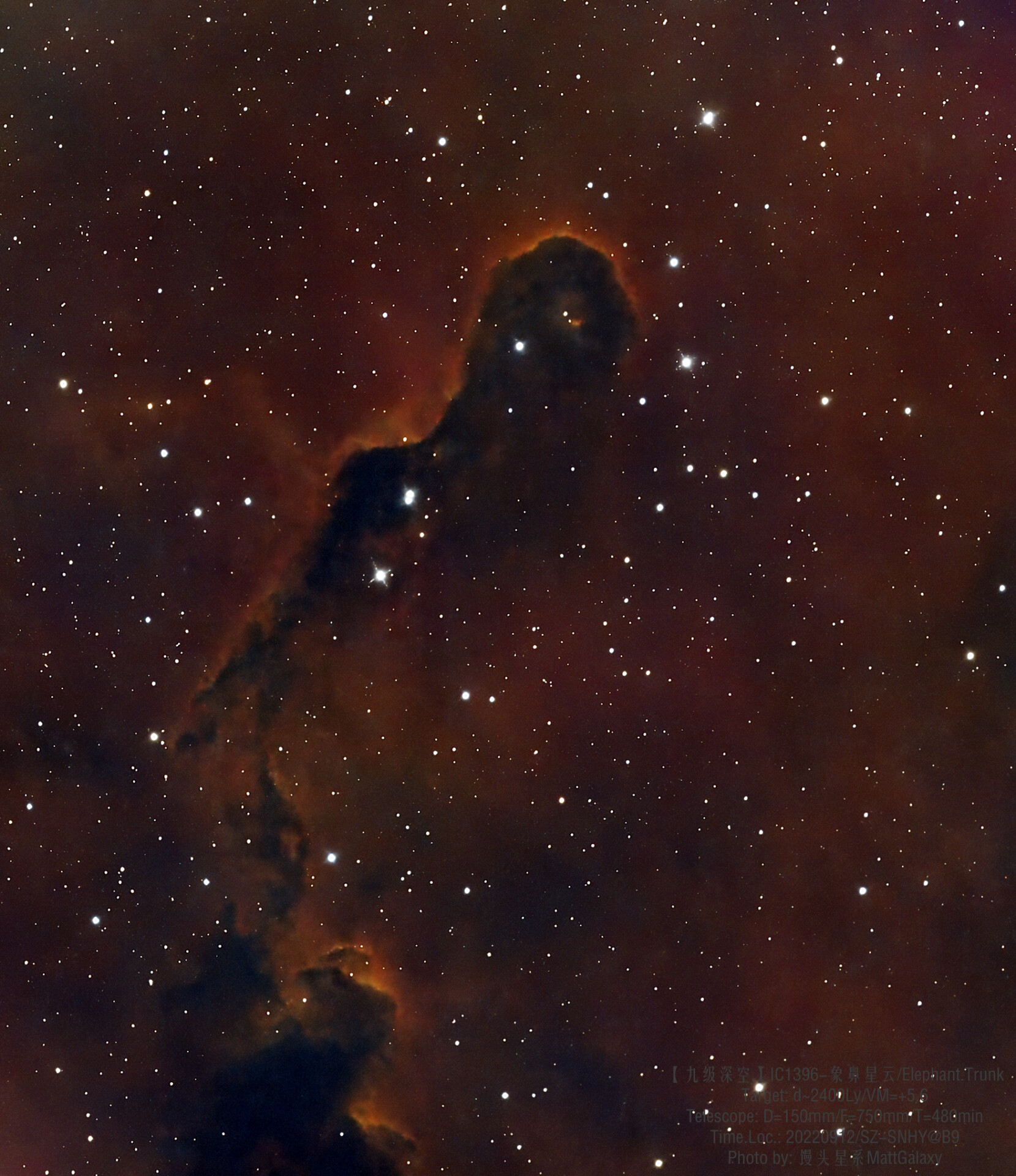 【九级深空】IC1396-象鼻星云/Elephant.Trunk
