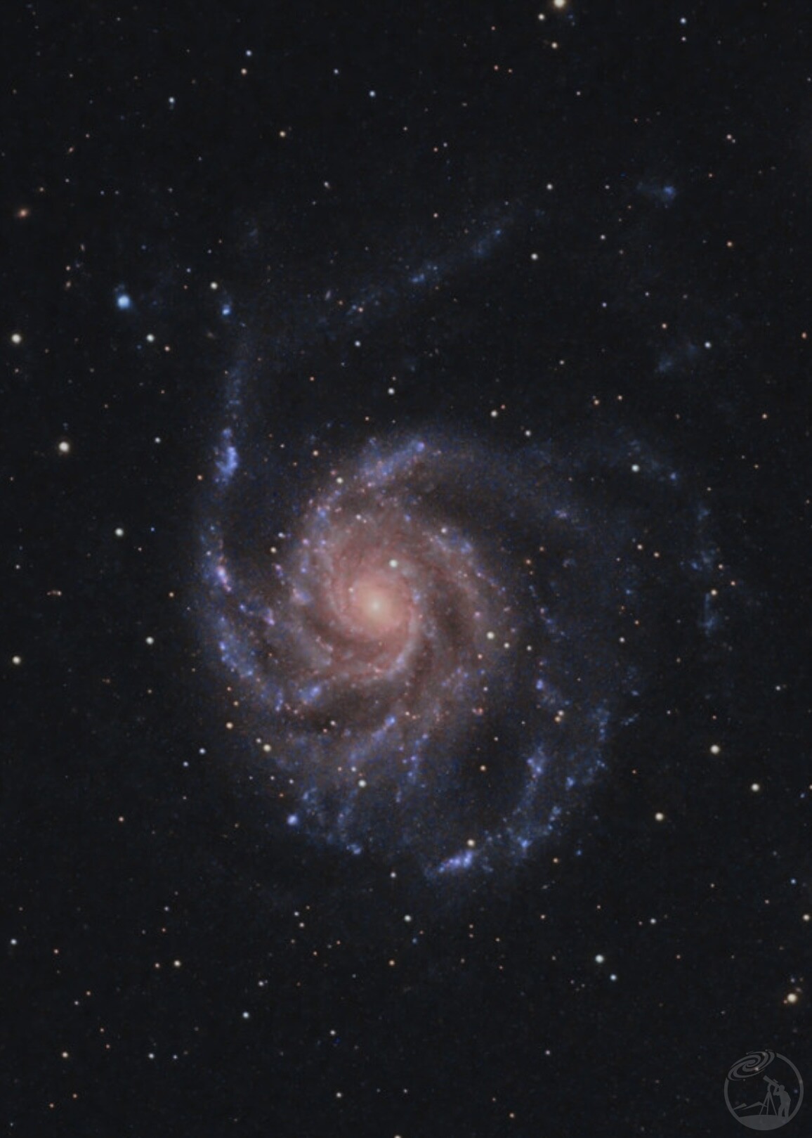 M101
