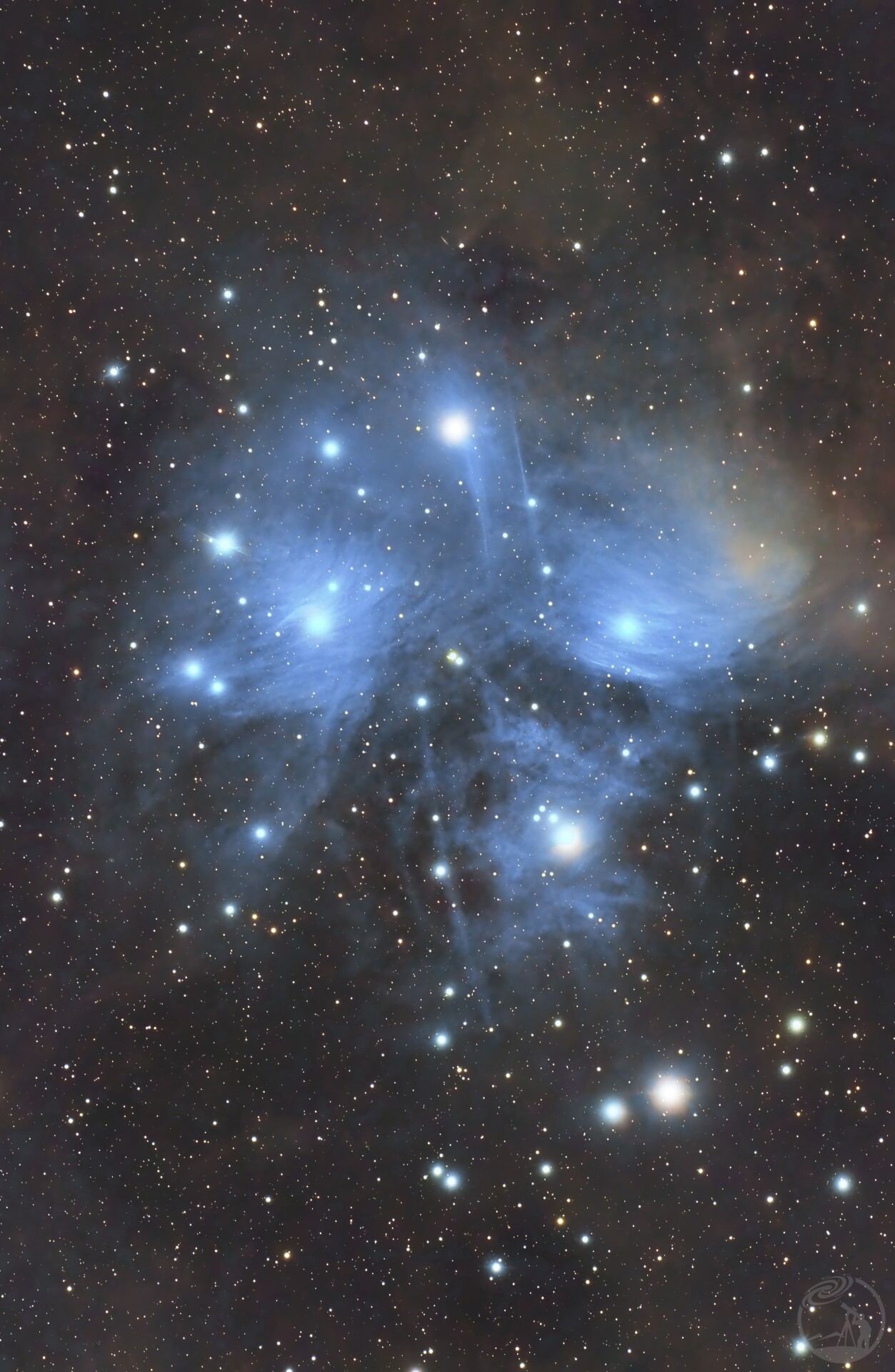 m45酱油