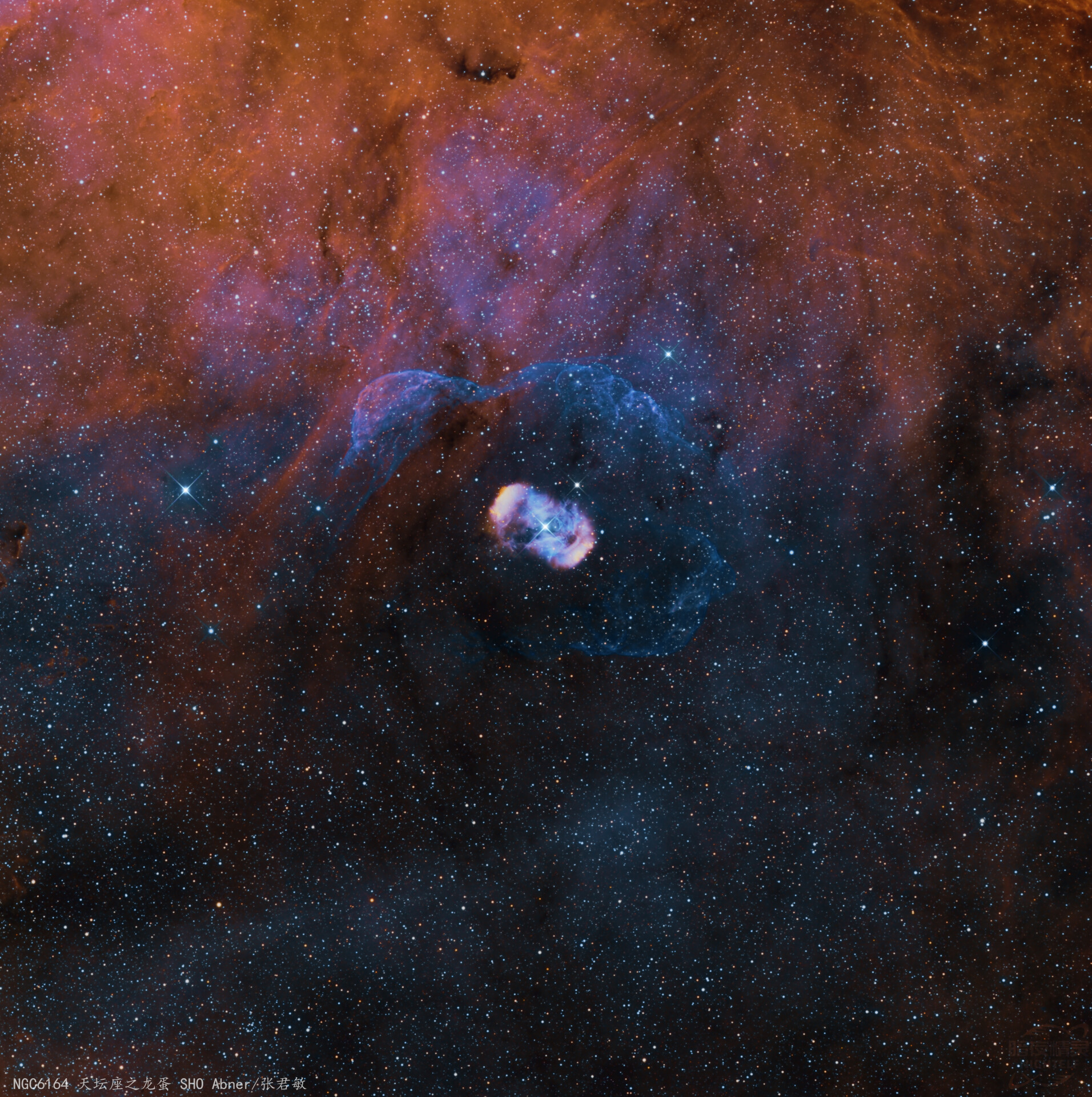 NGC6164 天坛座之龙蛋