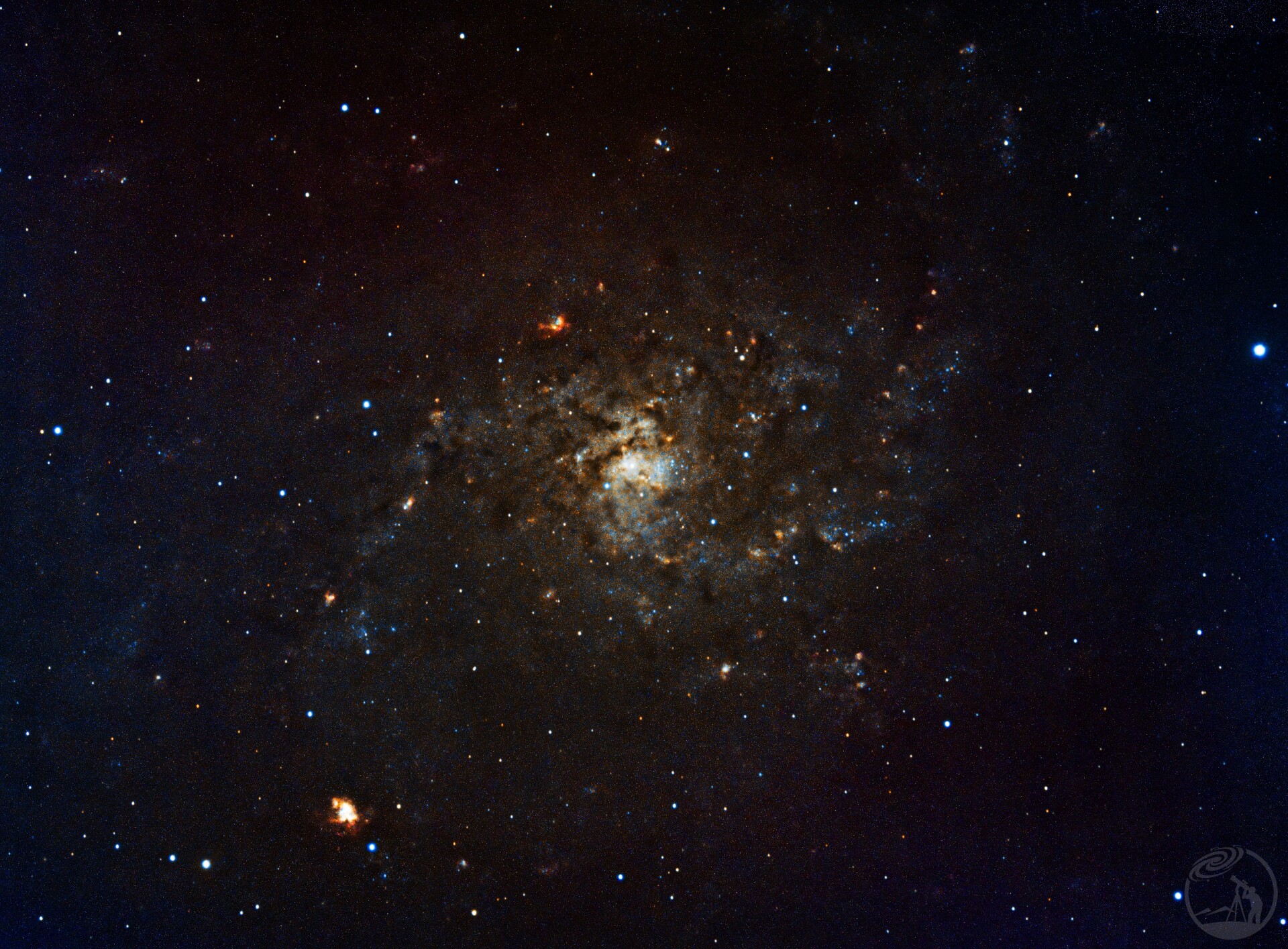 M33