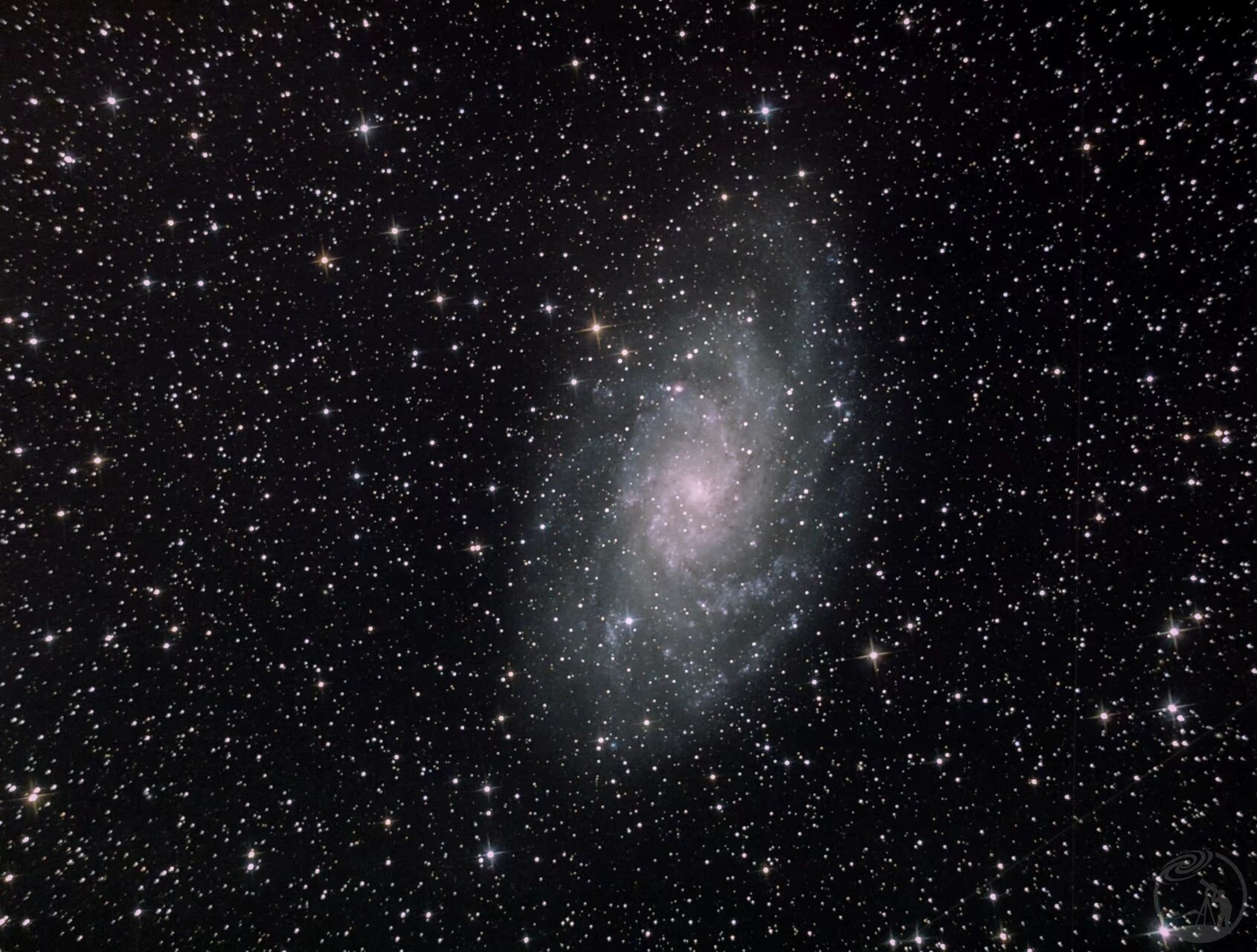 M33