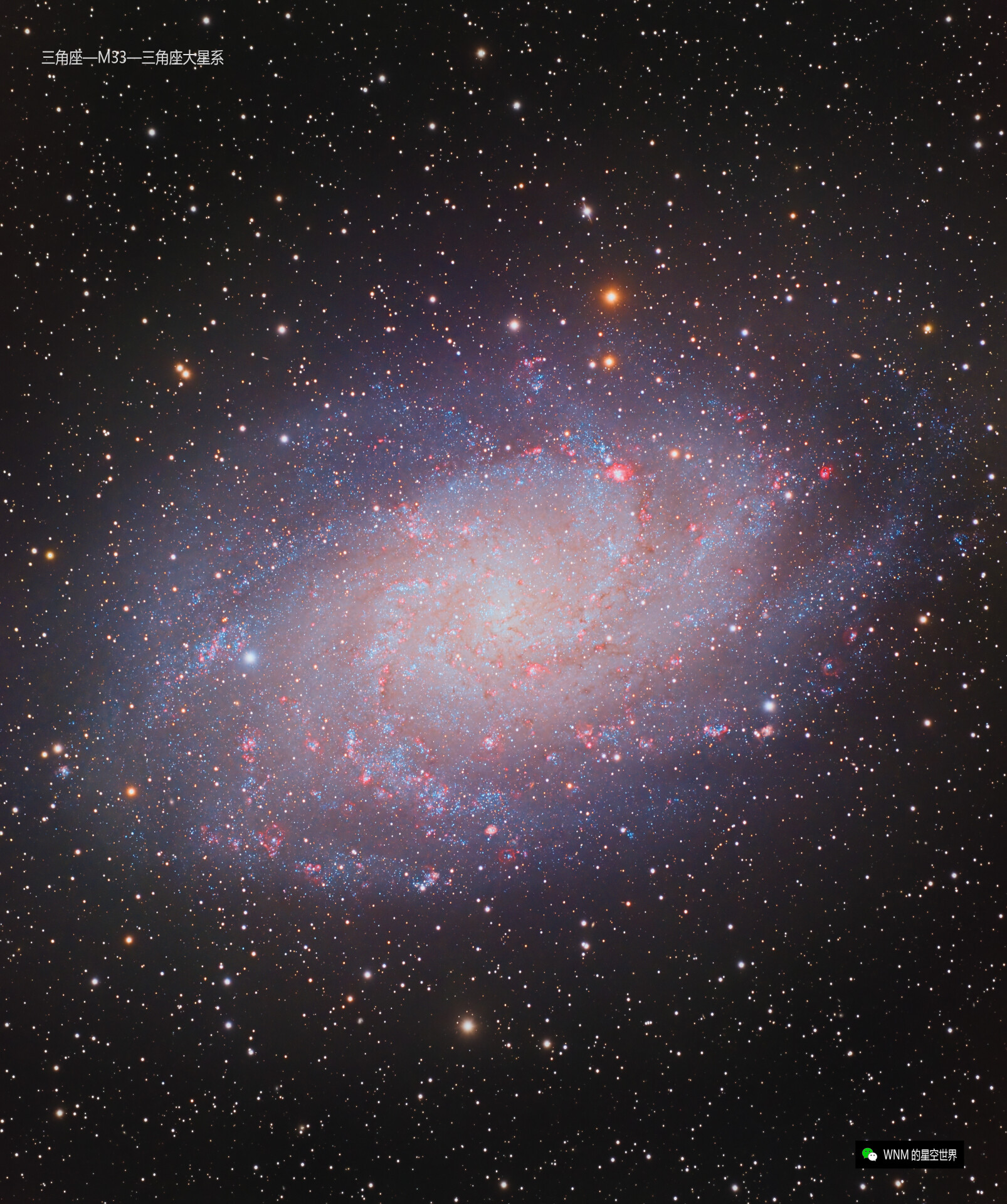 M33_三角座大星系