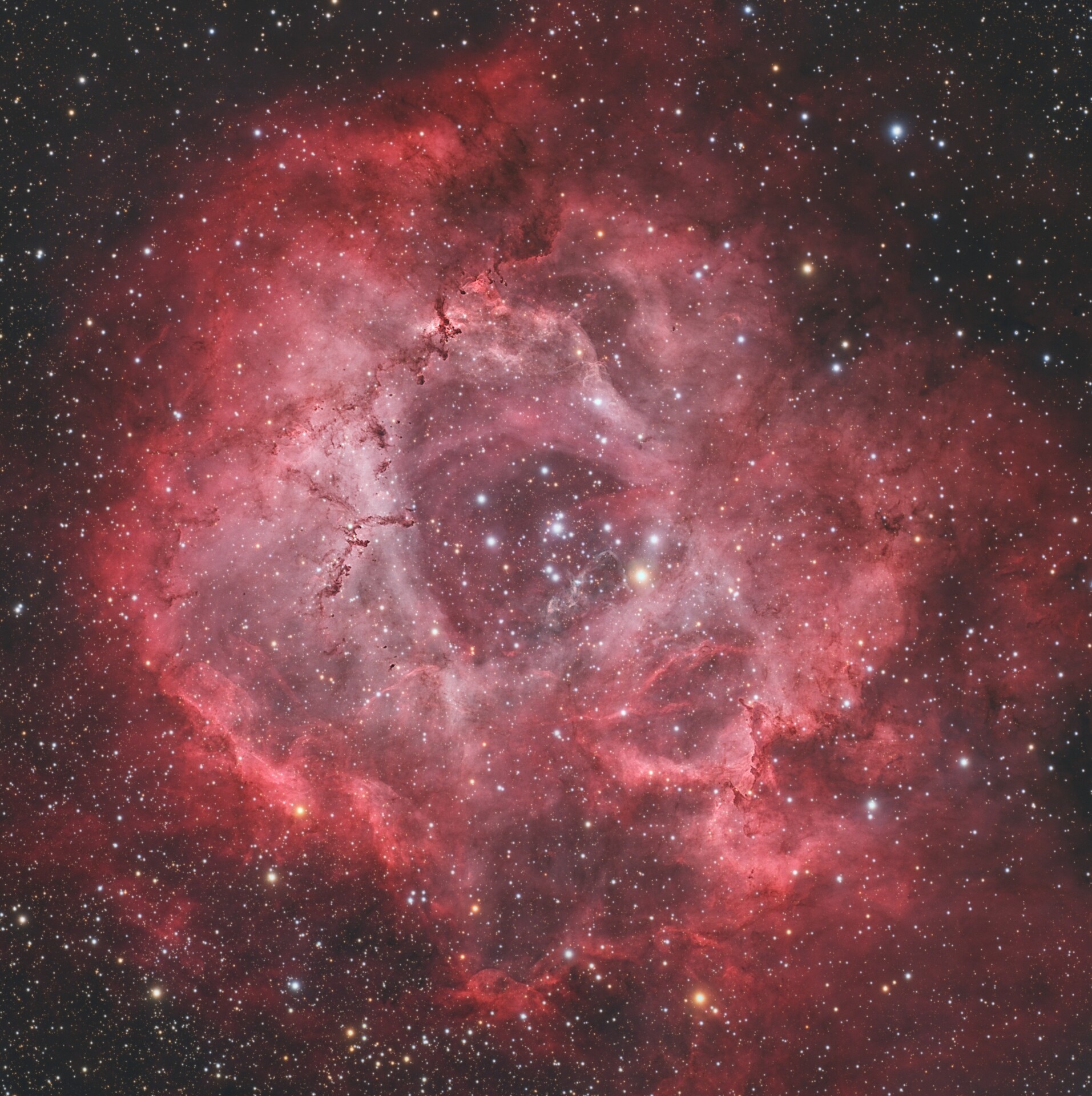 NGC2244玫瑰星云