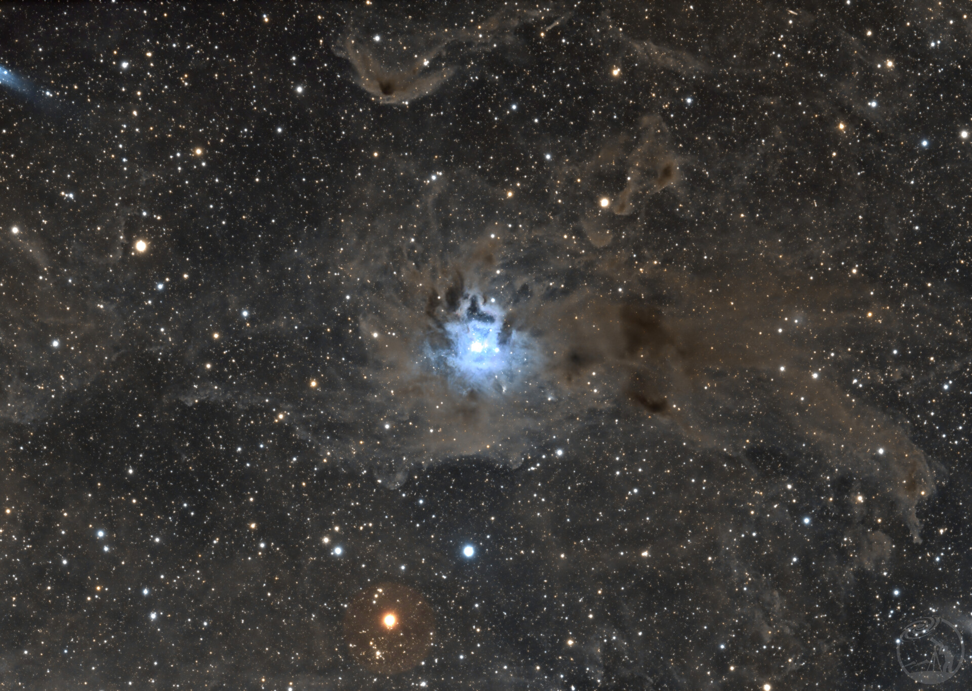 NGC7023鸢尾花