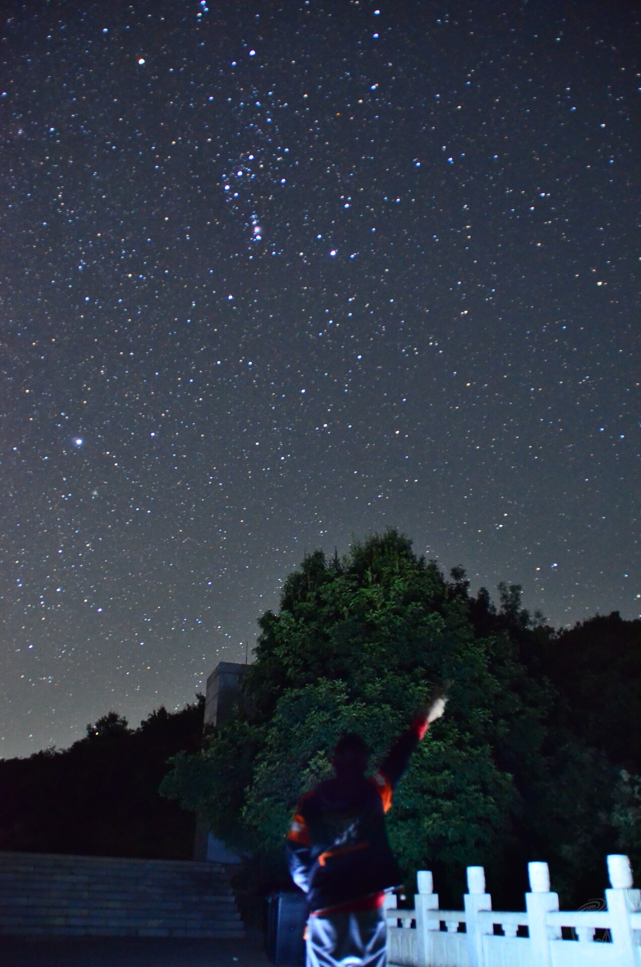 星空下的守望者